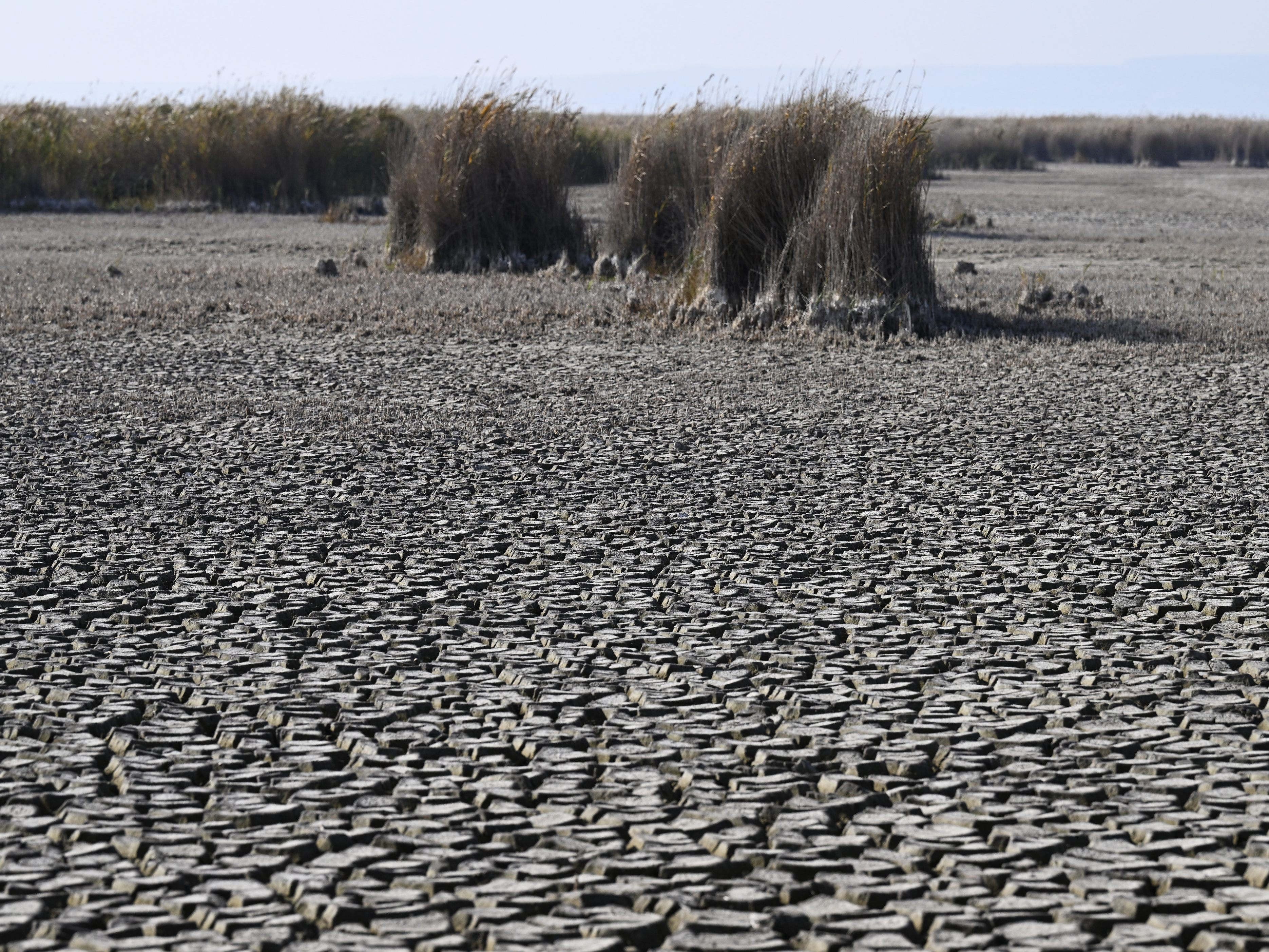 Das Mercosur-Abkommen könnte die Klimaziele gefährden. Das Mercosur-Abkommen könnte die Klimaziele gefährden.