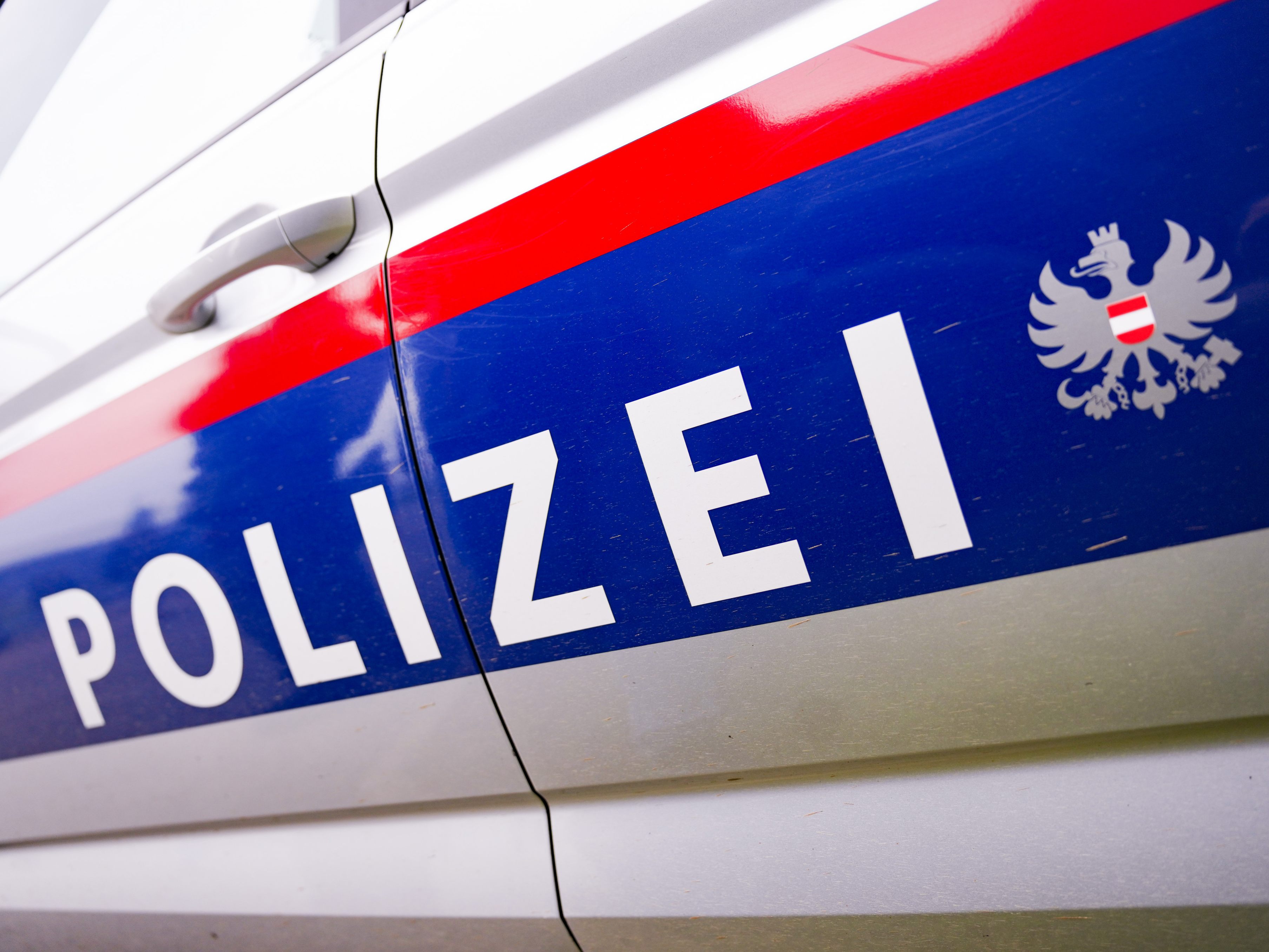 Die Wiener Polizei schritt bei einer versuchten Vergewaltigung ein. Die Wiener Polizei schritt bei einer versuchten Vergewaltigung ein.