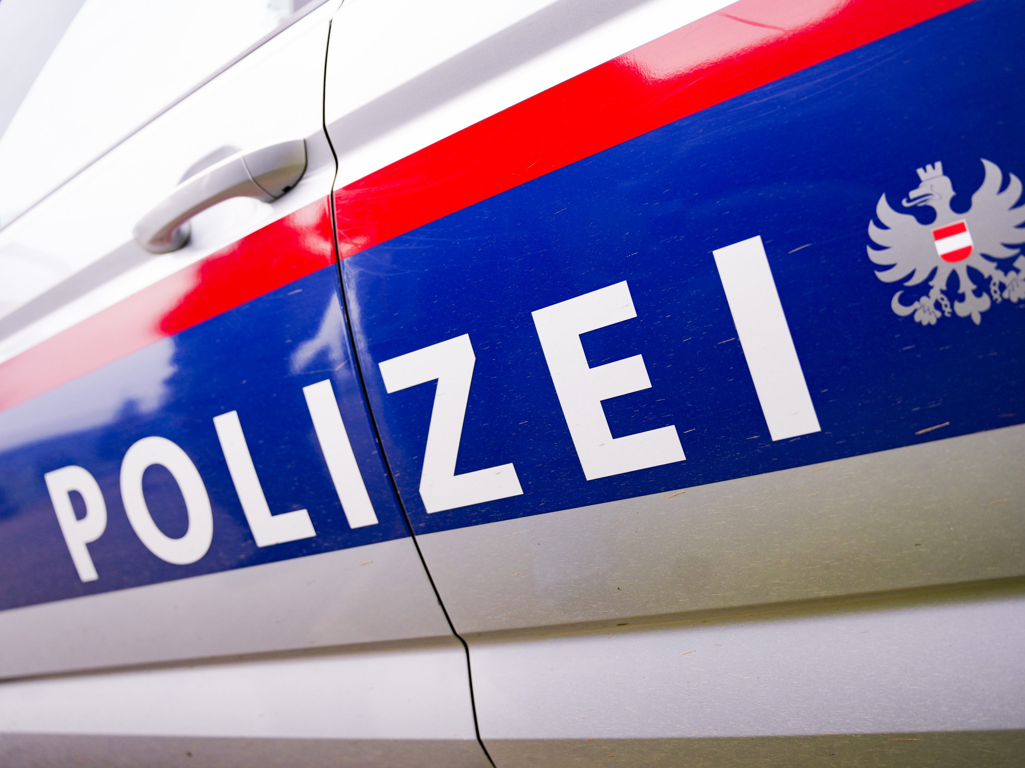 Im Fall der getöteten Kinder in NÖ wurde ein psychiatrisches Gutachten beauftragt.