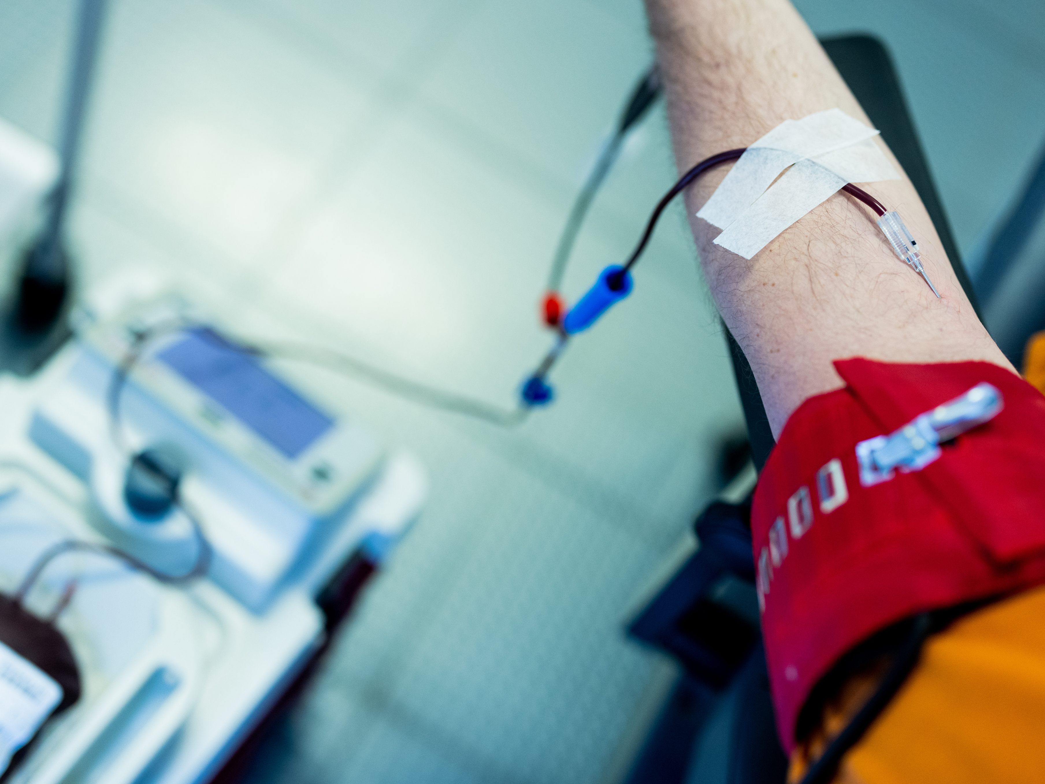 Blutplasma wird dringend für Medikamente benötigt. Blutplasma wird dringend für Medikamente benötigt.