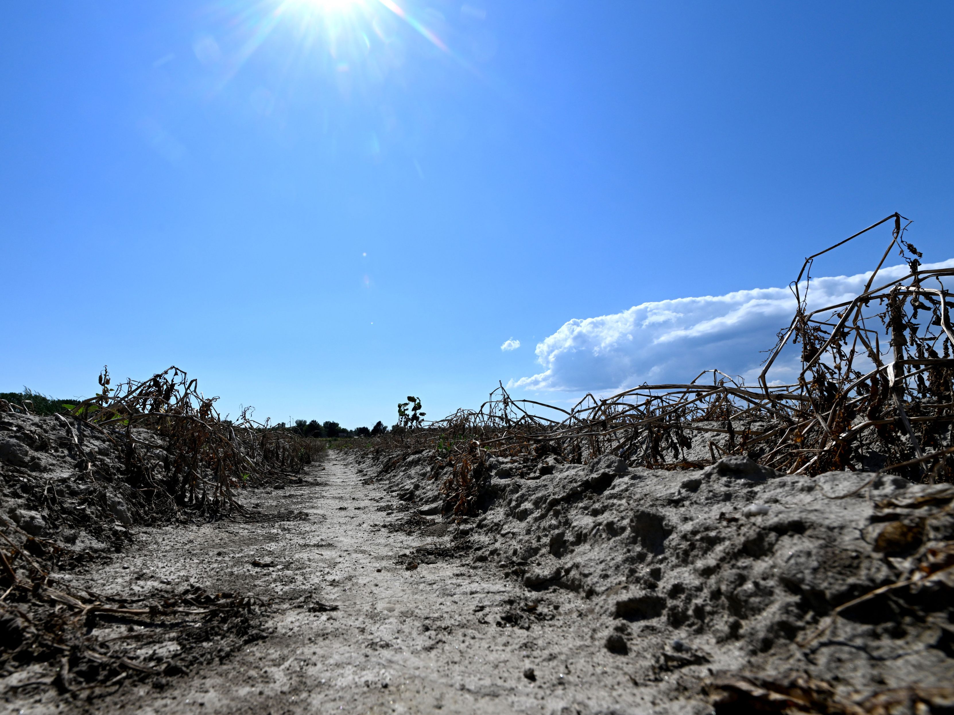 Die Mehrheit sieht den Klimawandel als "sehr ernstes Problem".