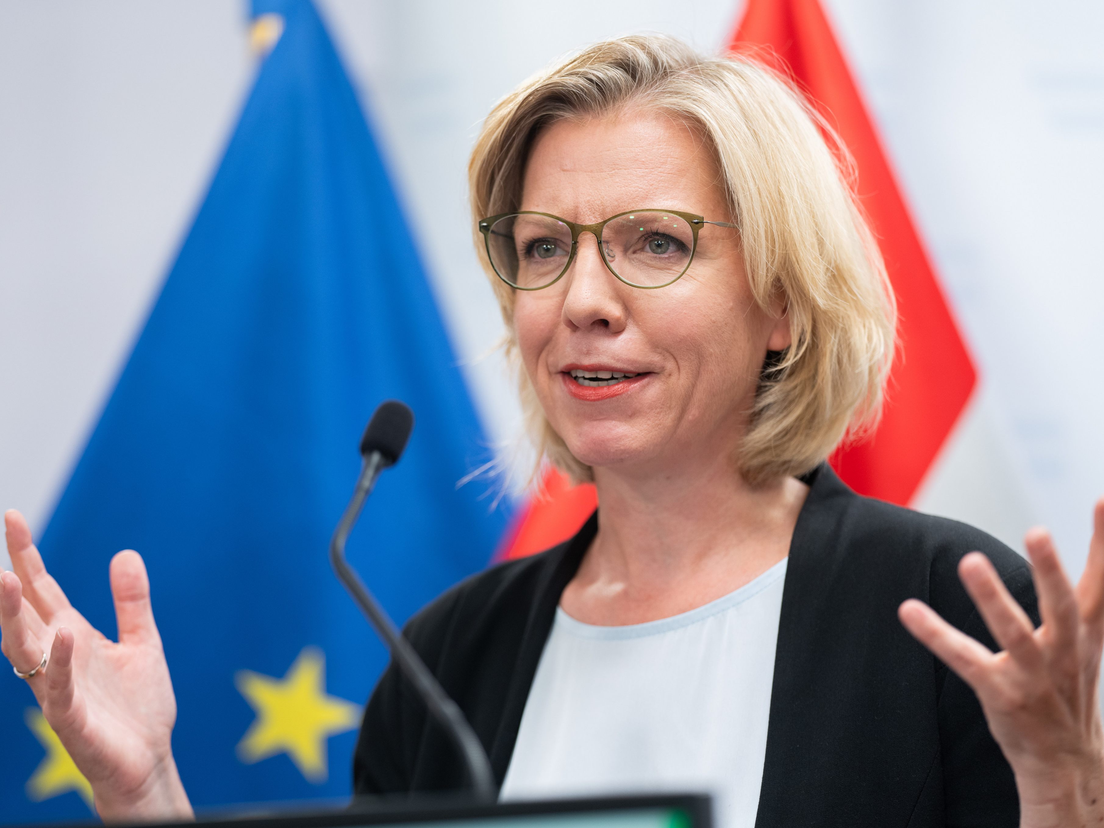 Der Entwurf des Nationalen Energie- und Klimaplans wurde vorgestellt. Der Entwurf des Nationalen Energie- und Klimaplans wurde vorgestellt.