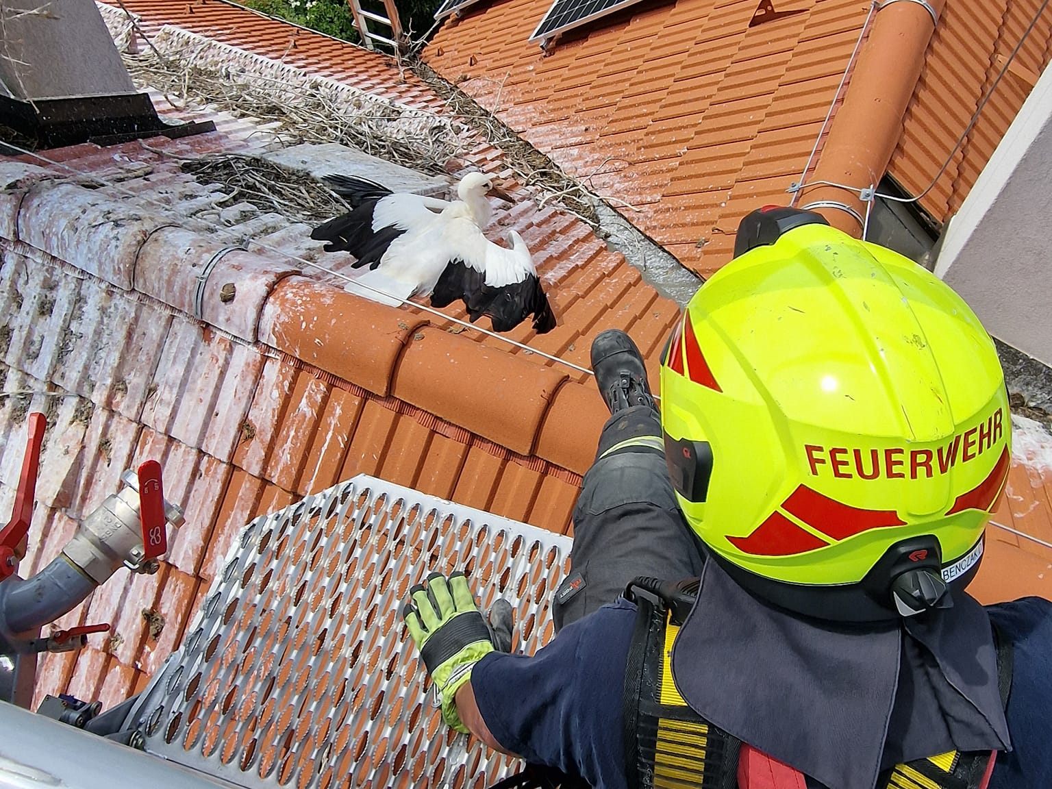 Feuerwehrleute eilten dem verletzten Storch zu Hilfe.