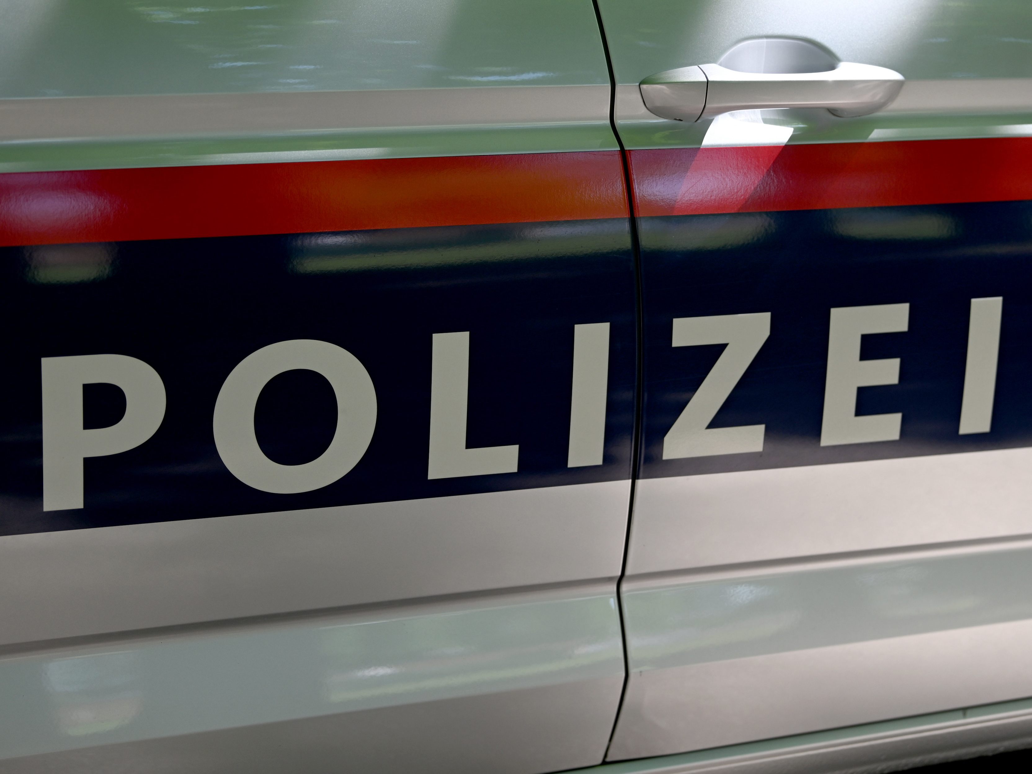 Eine 25-Jährige ging auf Wiener Polizisten los.