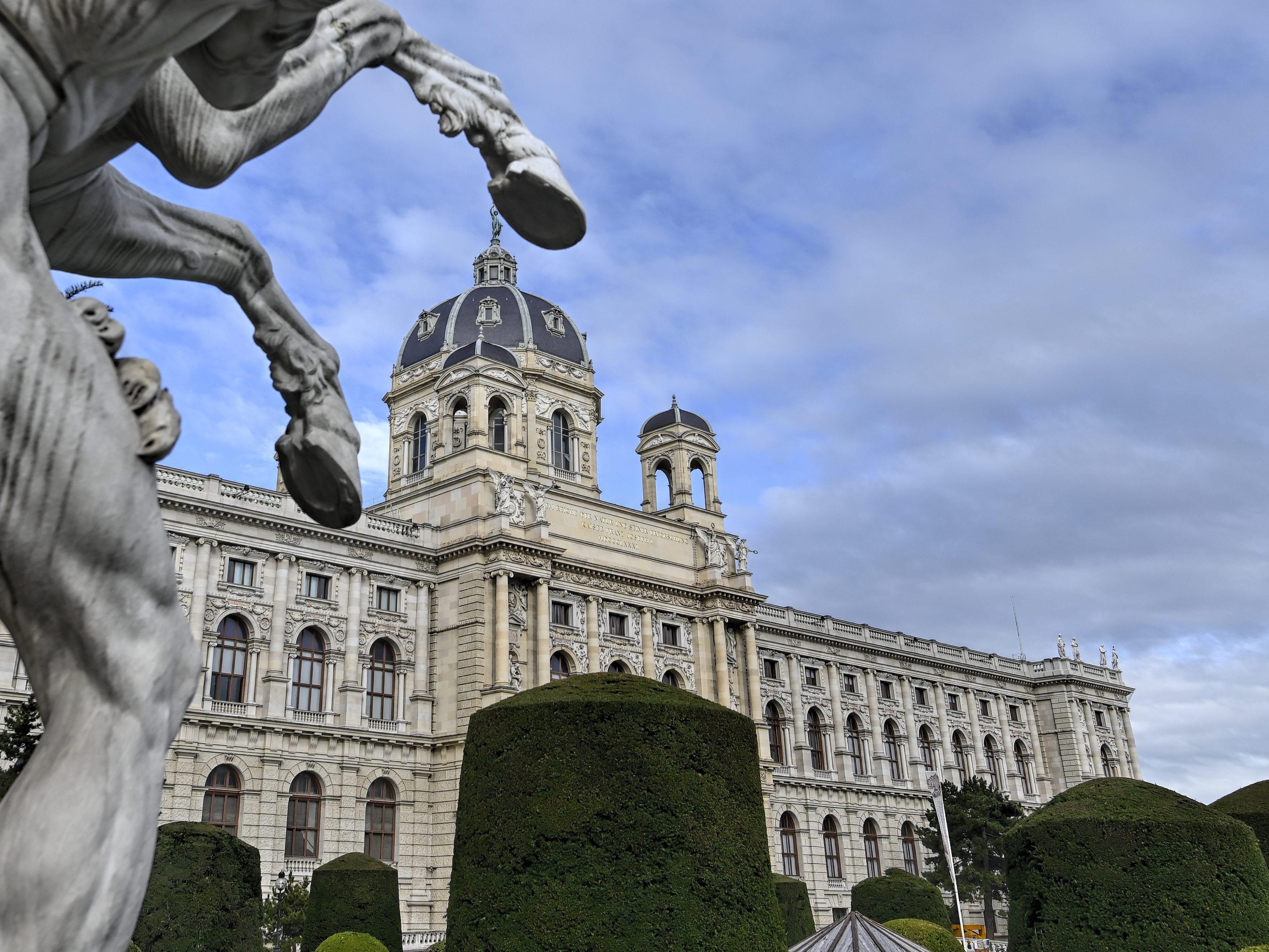 Das NHM versteigert die Ausstattung des Mikrokosmos-Saals.