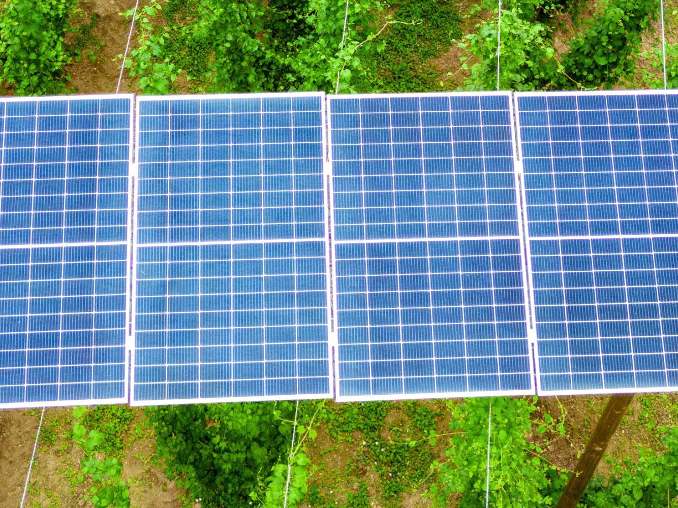 Seit 2021 wurden 150 Erneuerbare Energiegemeinschaften gegründet.