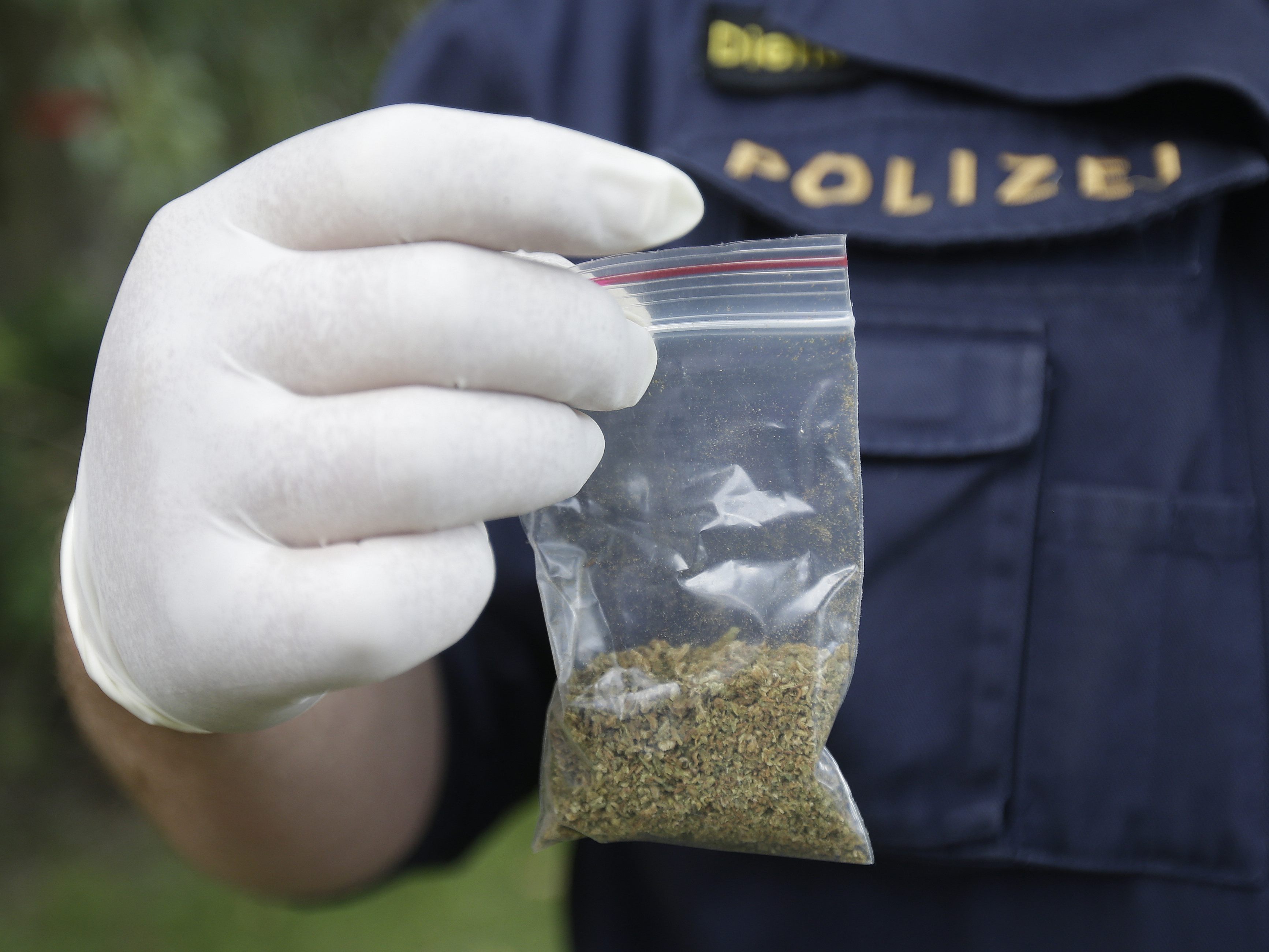 Drogendealer in Wien gefasst.