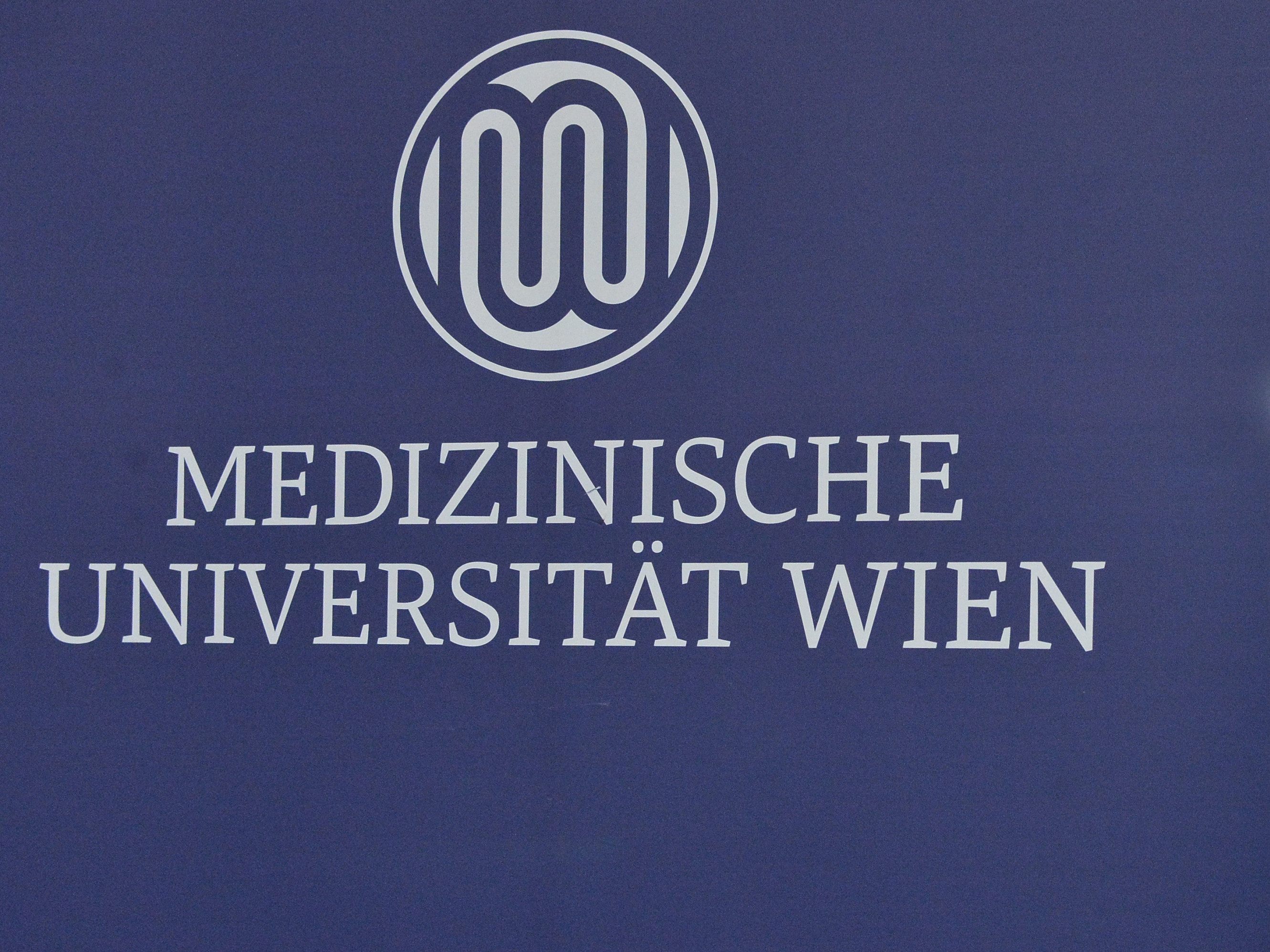 Die MedUni Wien landete im Jung-Uni-Ranking im Spitzenfeld.