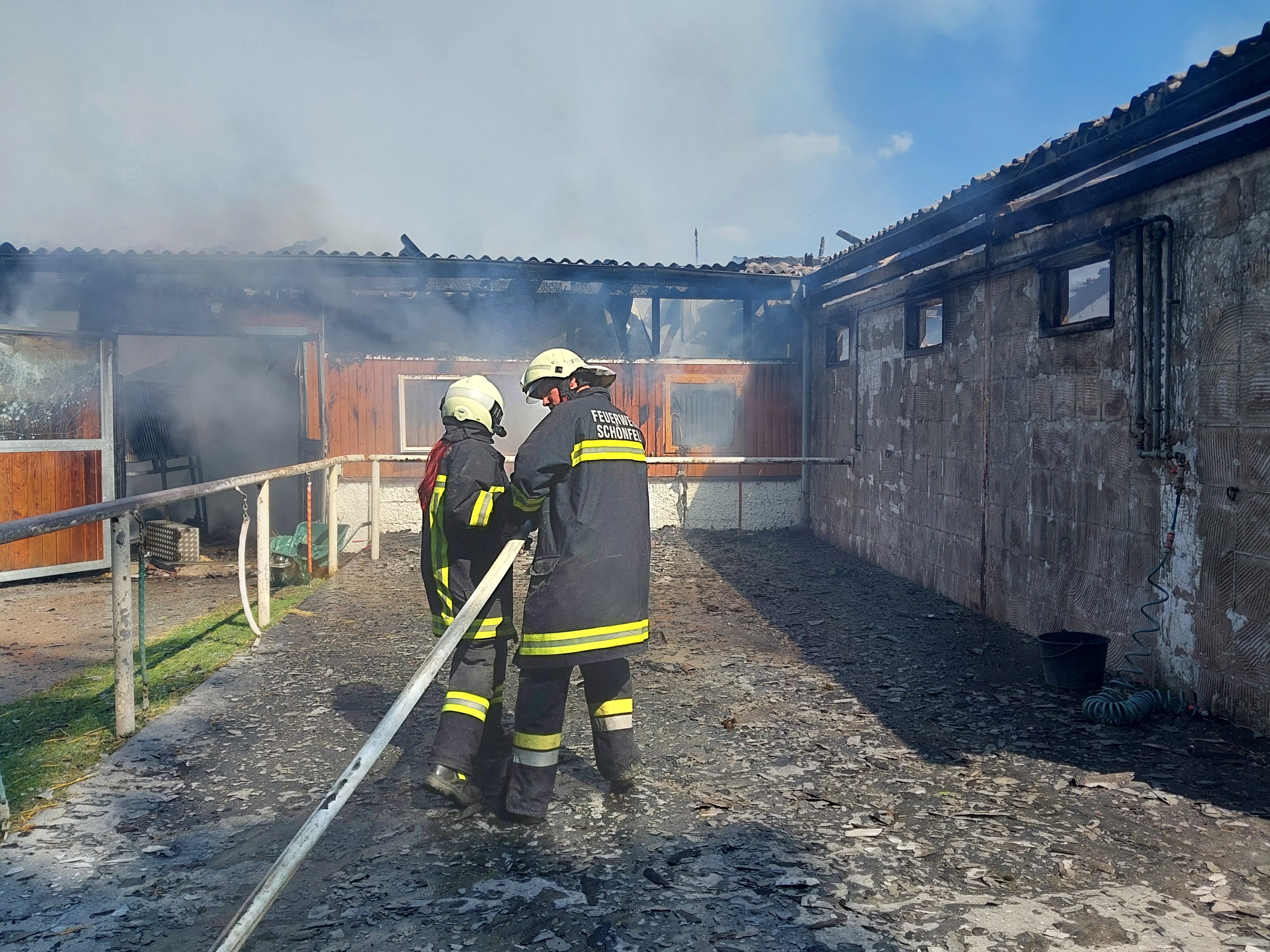 Bei einem Brand eines Reitstalls in Niederösterreich wurden 30 Pferde gerettet.