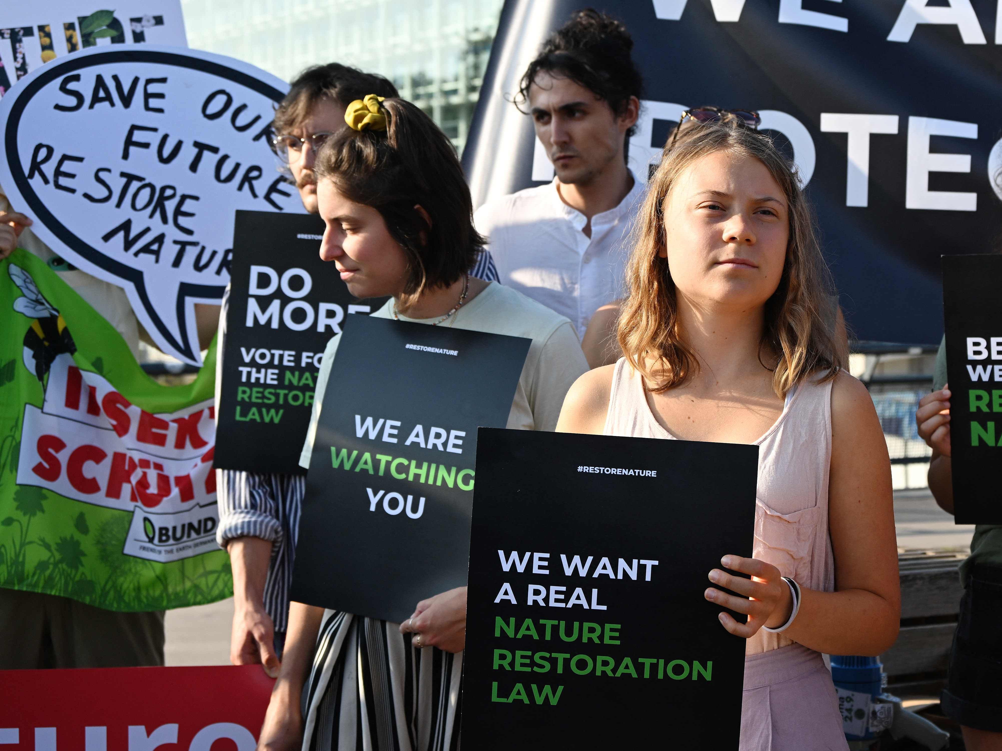 Greta Thunberg hat für ein EU-Naturschutzgesetz protestiert.