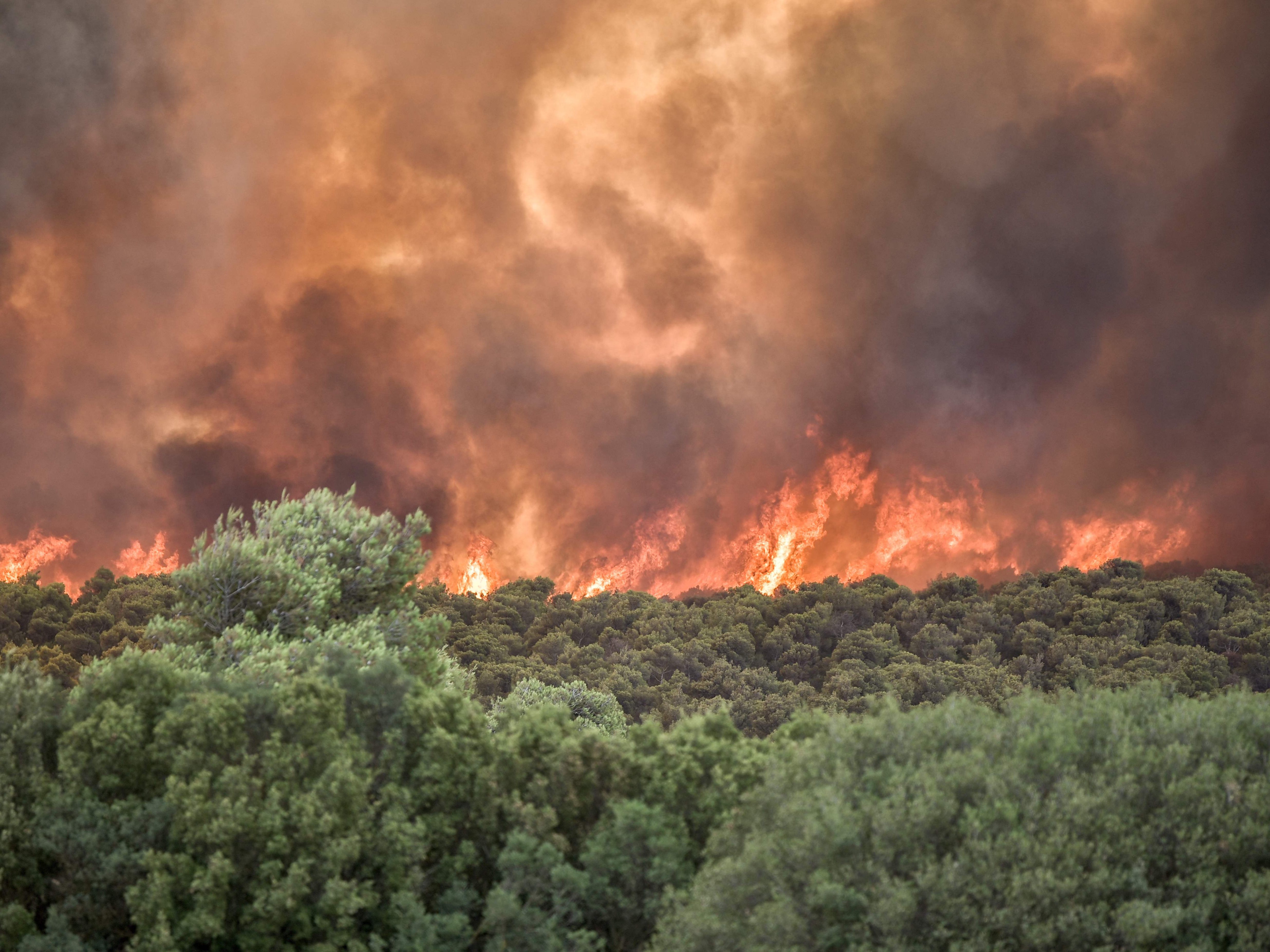 Griechenlands Feuerwehr gelang es in der Nacht auf Dienstag die Brände im Raum Athen teilweise unter Kontrolle zu bringen. Griechenlands Feuerwehr gelang es in der Nacht auf Dienstag die Brände im Raum Athen teilweise unter Kontrolle zu bringen.