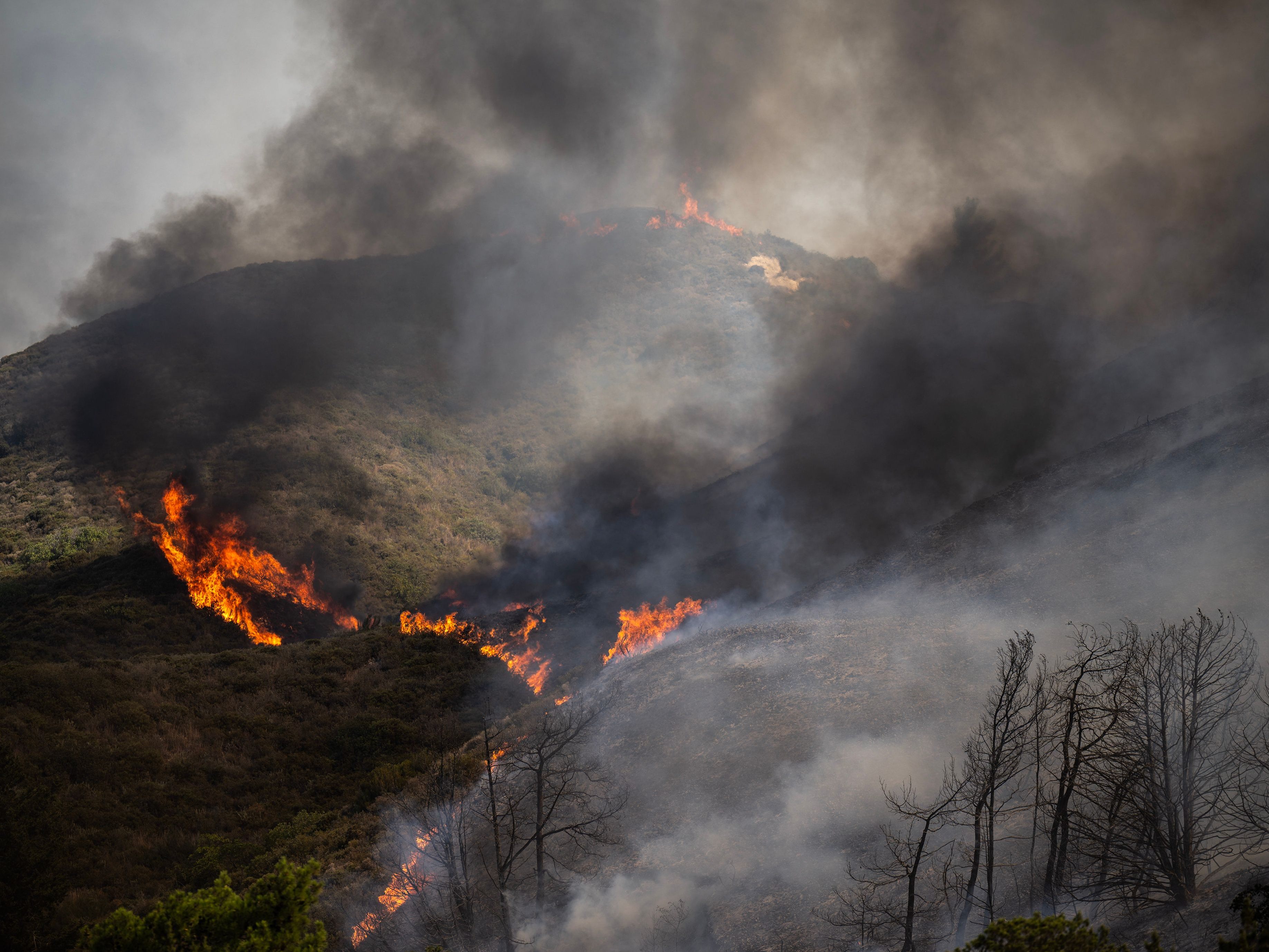 Auf der griechischen Insel Rhodos zerstörte ein Waldbrand rund 150 Quadratmeter Fläche. Auf der griechischen Insel Rhodos zerstörte ein Waldbrand rund 150 Quadratmeter Fläche.