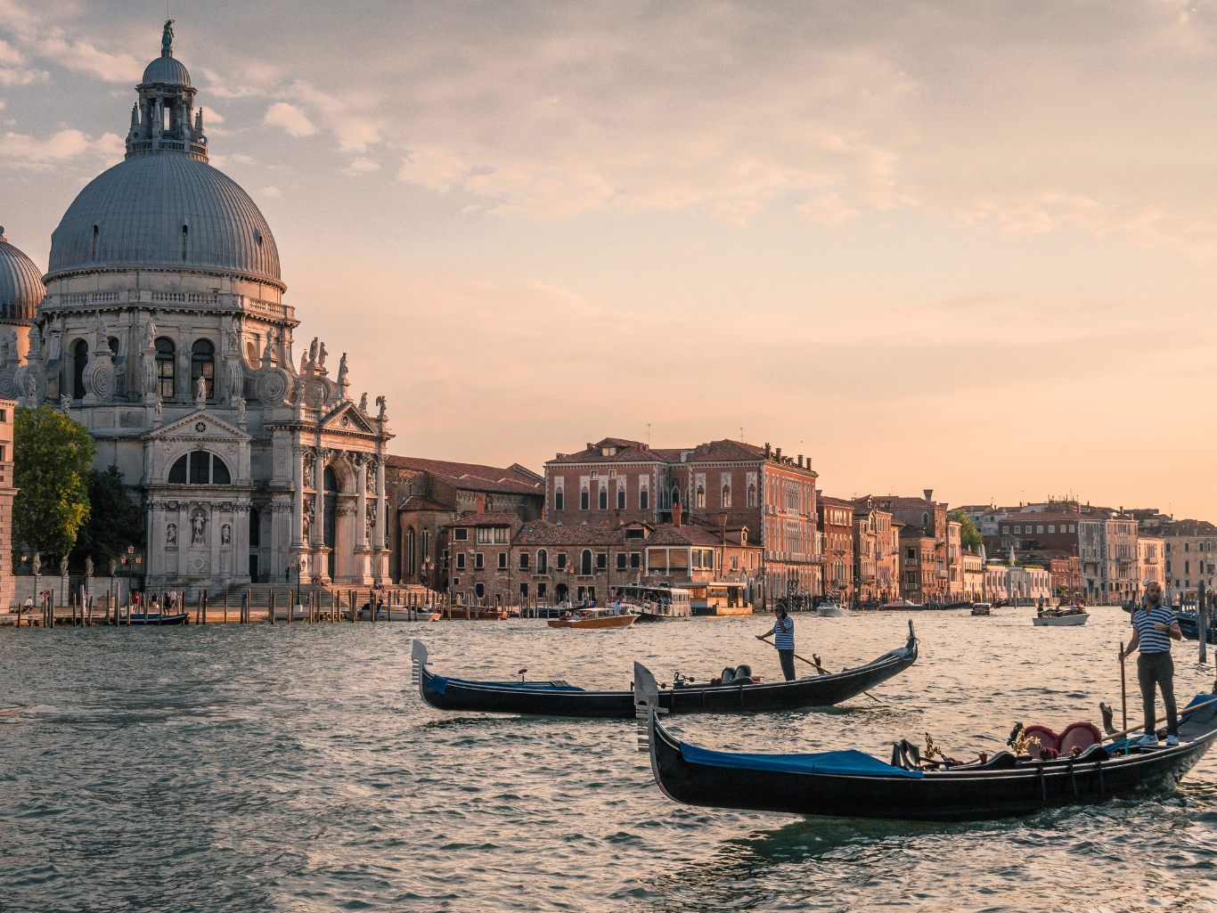 54 Länder sind bei den Filmfestspielen von Venedig vertreten.