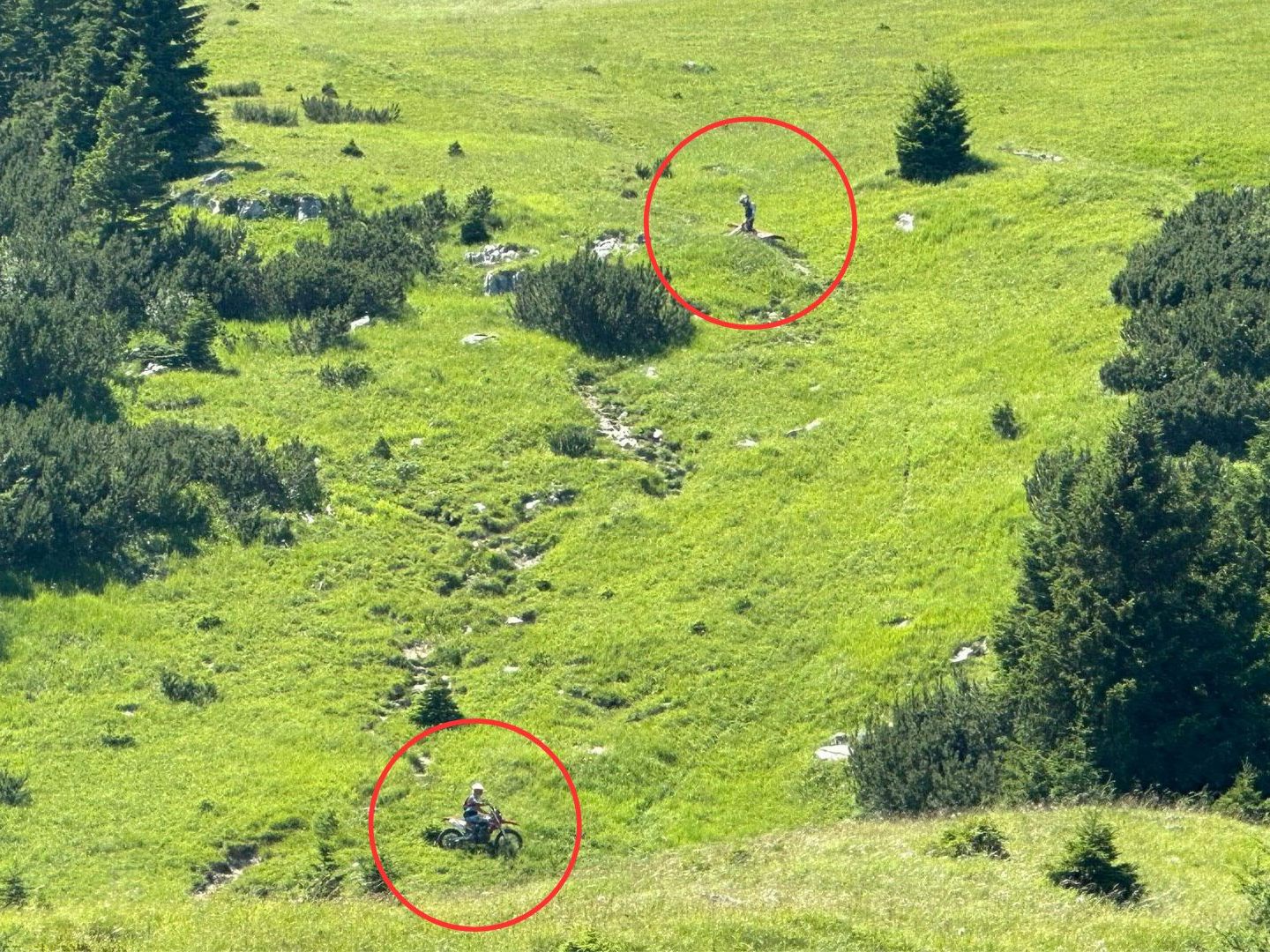 Die Motorradfahrer fuhren durch ein Schutzgebiet auf den Gipfel. Die Motorradfahrer fuhren durch ein Schutzgebiet auf den Gipfel.