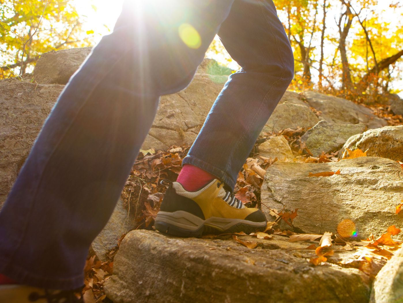 Ein 68-Jähriger stürzte bei einer Wanderung in der Steiermark in den Tod. Ein 68-Jähriger stürzte bei einer Wanderung in der Steiermark in den Tod.