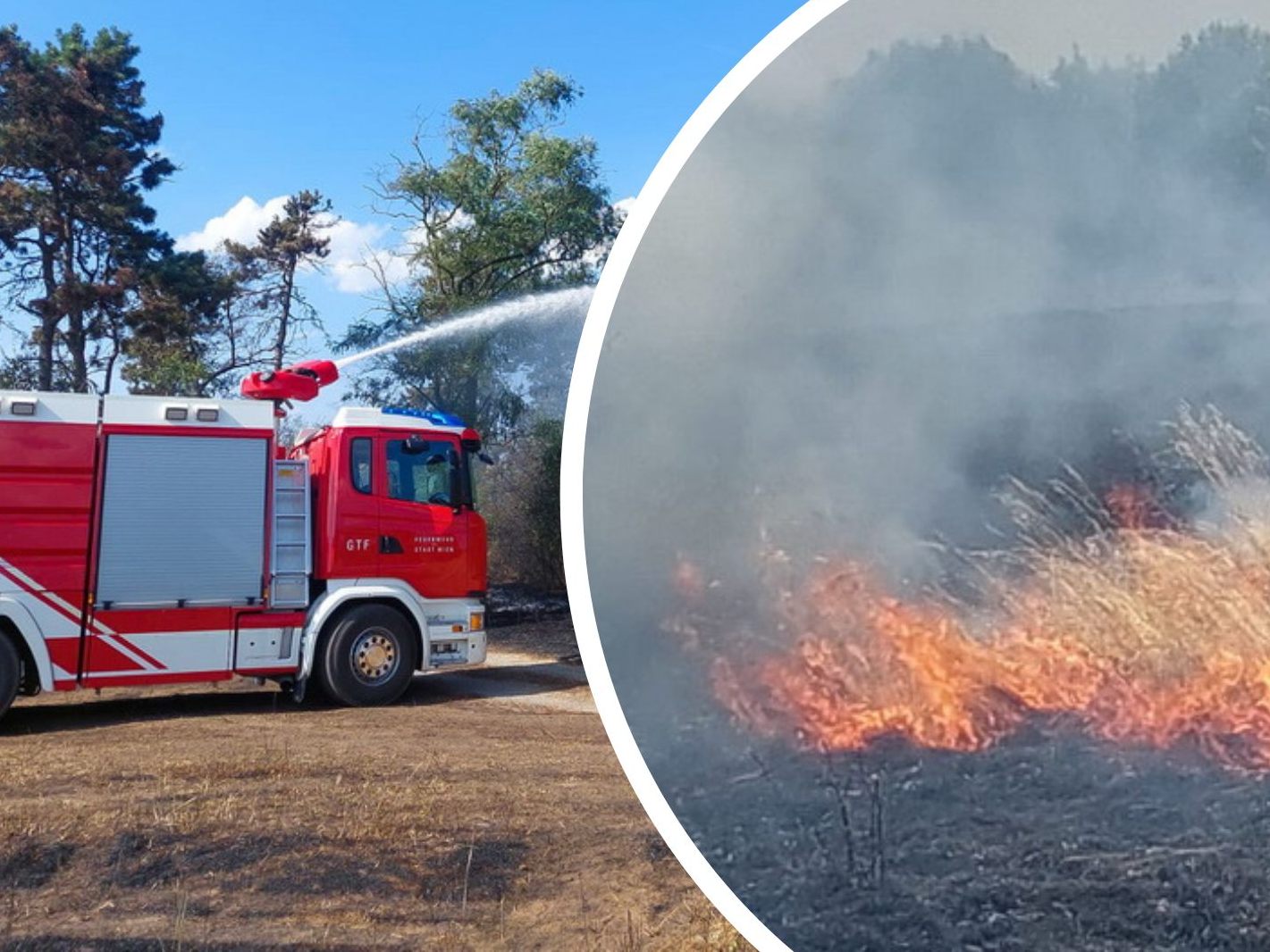 Ein Waldbrand in der Nähe von Wien forderte die Feuerwehren am Sonntag.