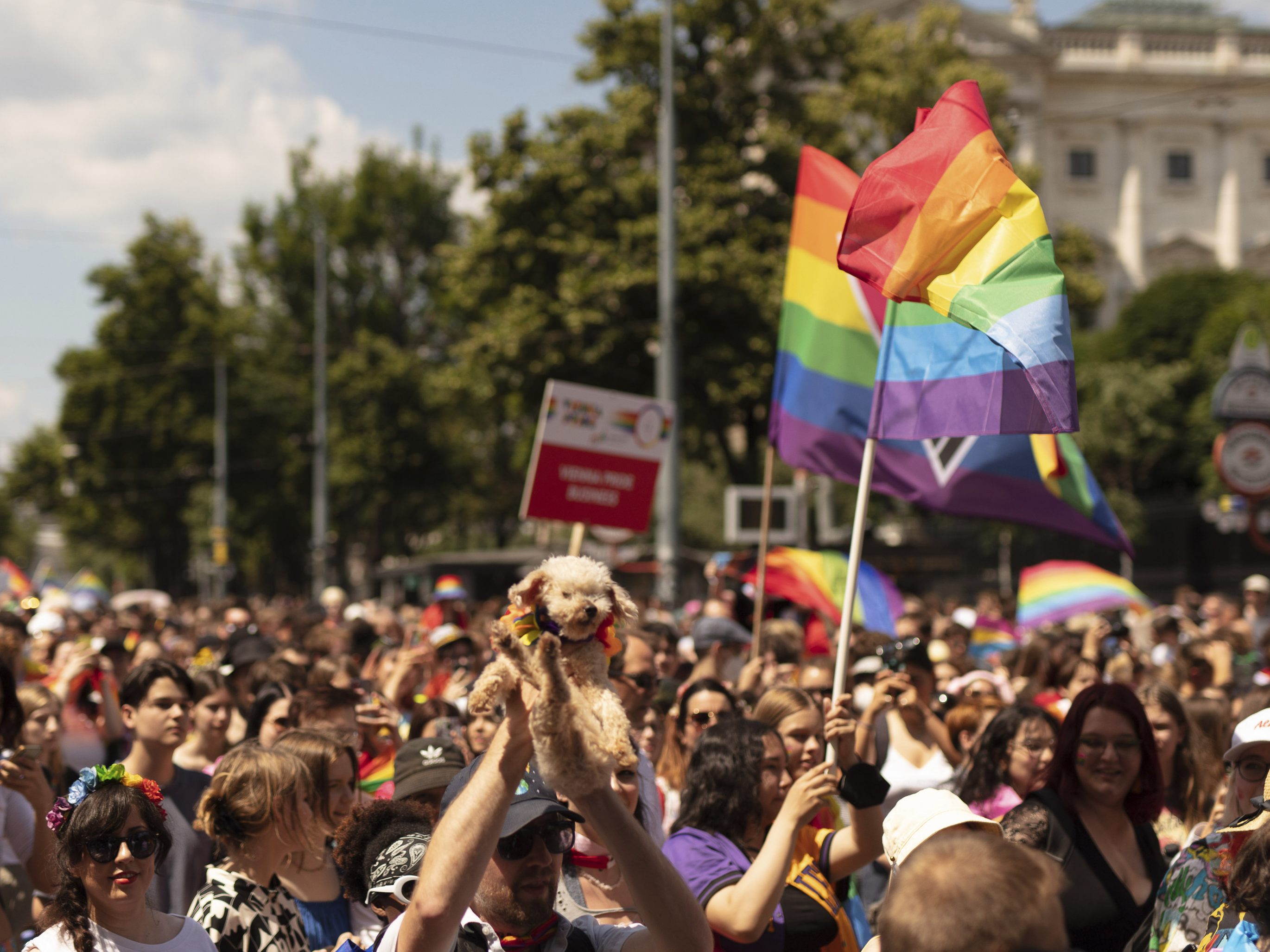 Neue Details zum geplanten Anschlag auf der Pride Parade in Wien.
