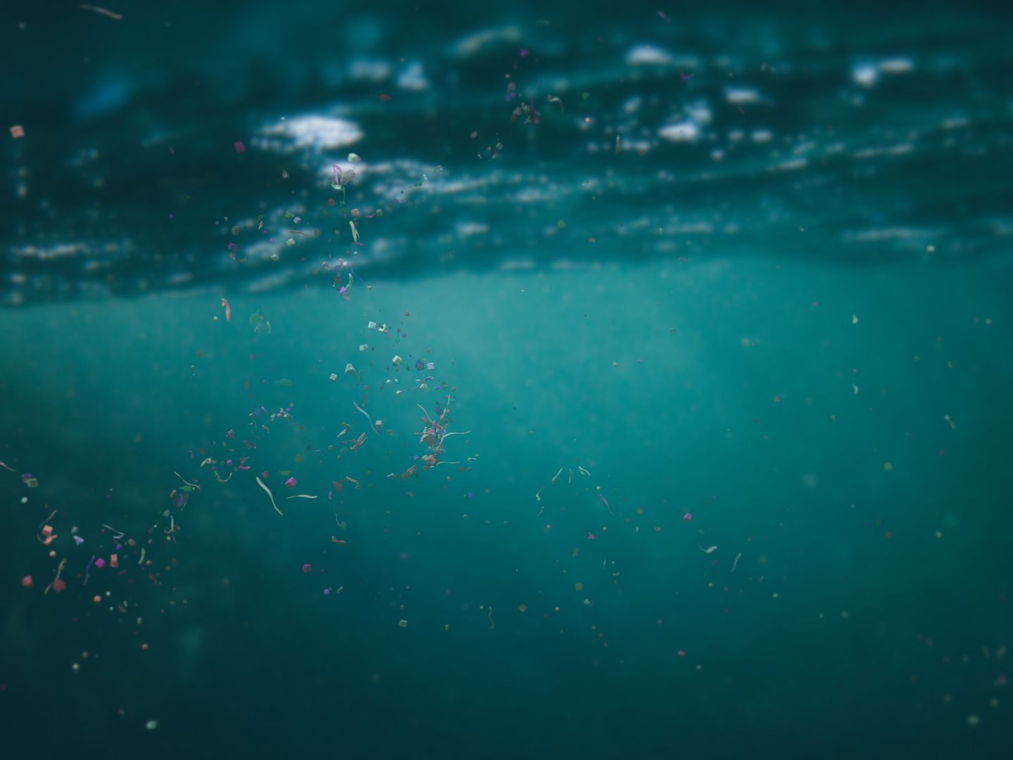 In Seen ist teilweise mehr Mikroplastik zu finden, als in den Ozeanen. In Seen ist teilweise mehr Mikroplastik zu finden, als in den Ozeanen.