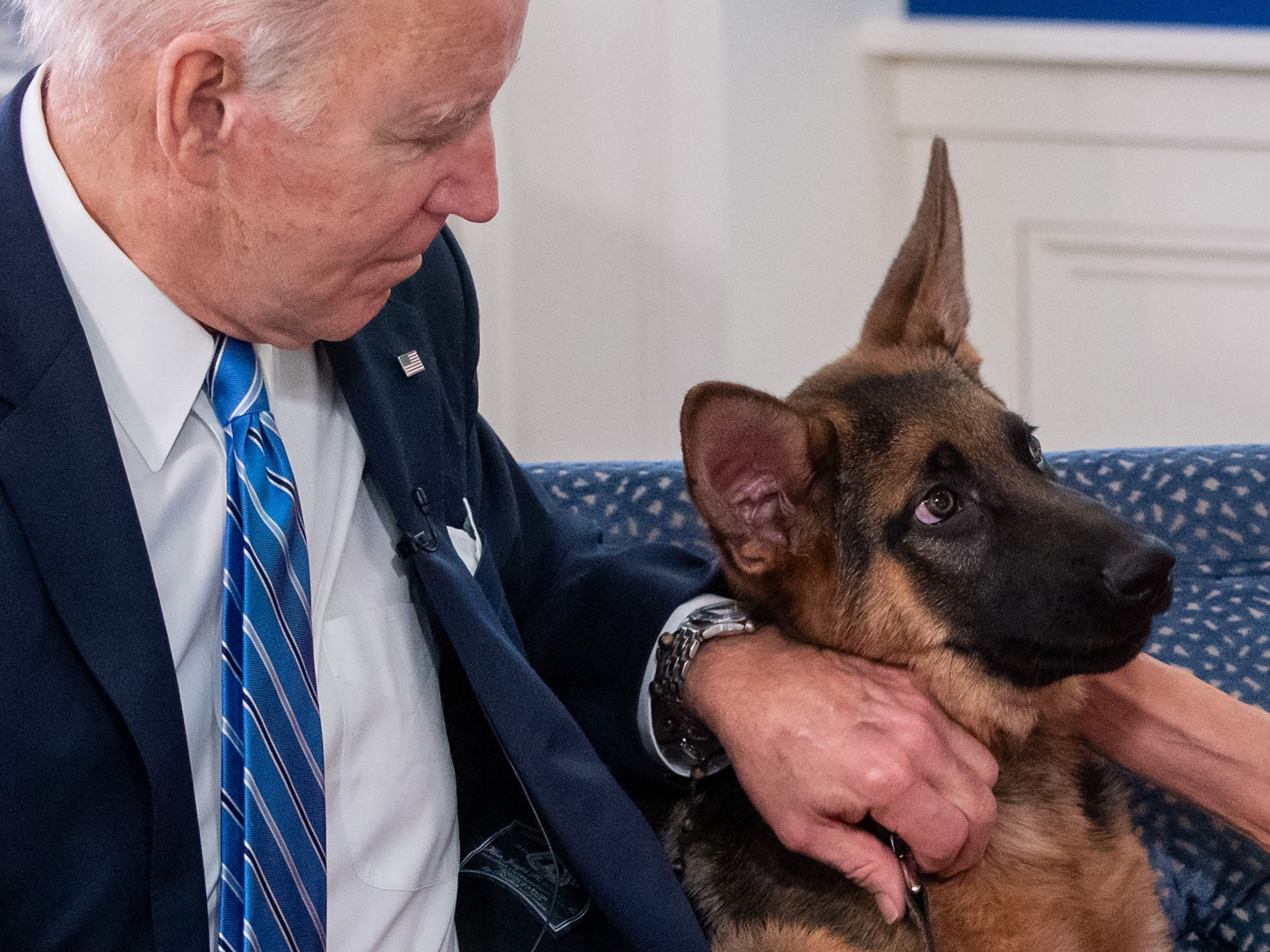 Joe Biden mit seinem Hund "Commander". Joe Biden mit seinem Hund "Commander".