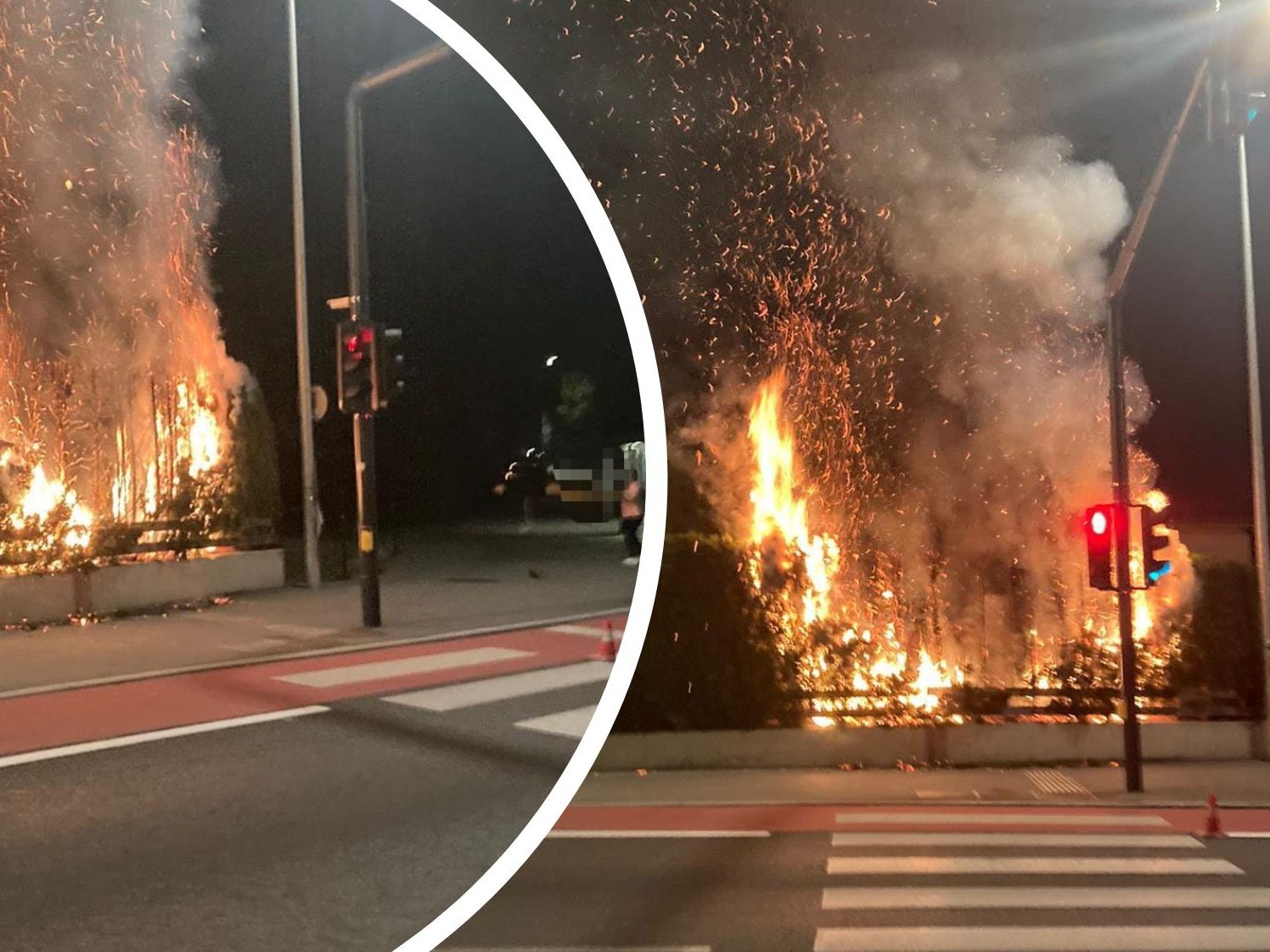 Heckenbrand musste durch Feuerwehr gelöscht werden Heckenbrand musste durch Feuerwehr gelöscht werden