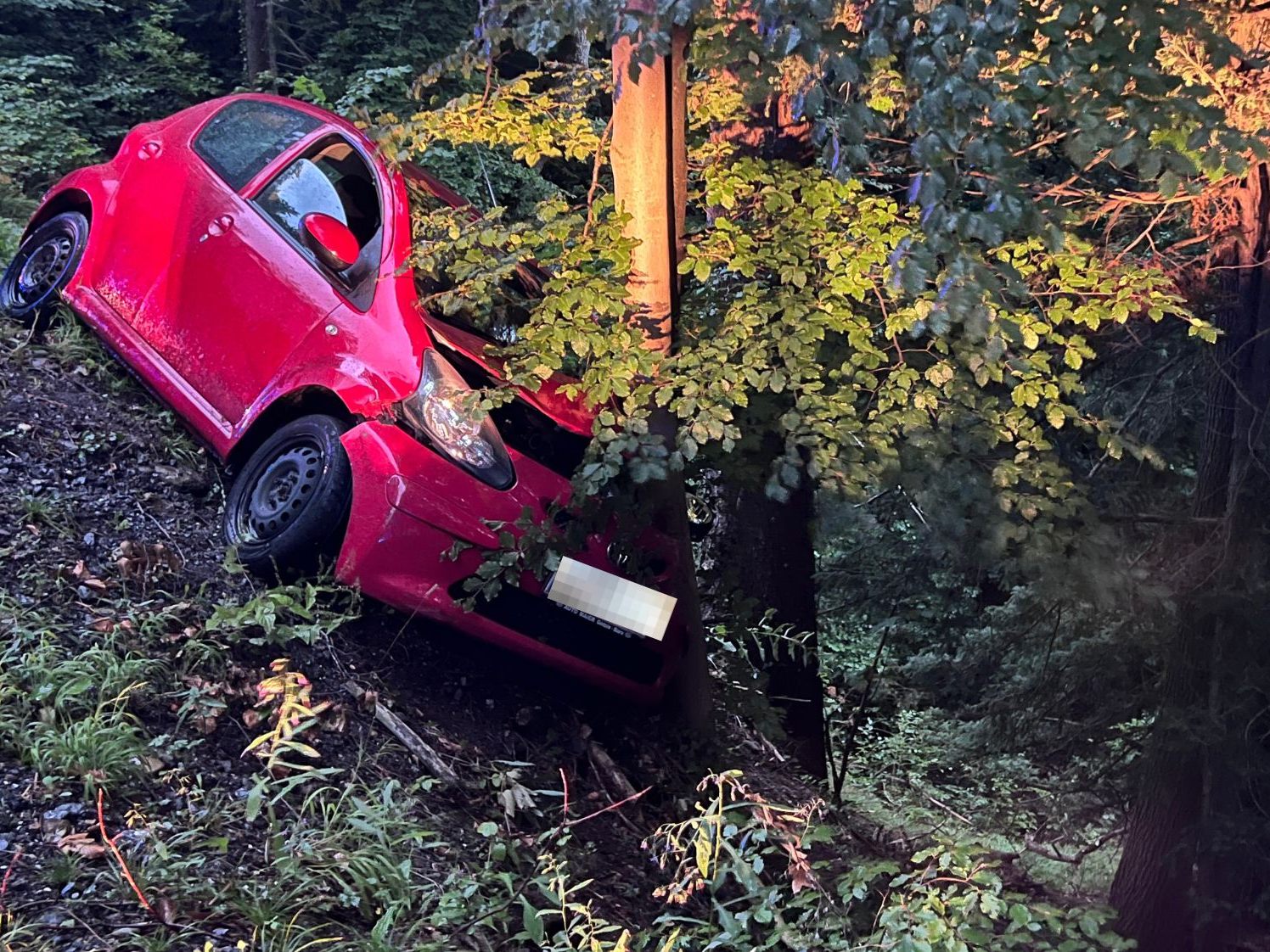 Pkw blieb an einem Baum hängen