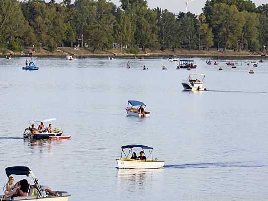 Alte Donau schnitt bei Greenpeace-Untersuchung schlecht ab Alte Donau schnitt bei Greenpeace-Untersuchung schlecht ab