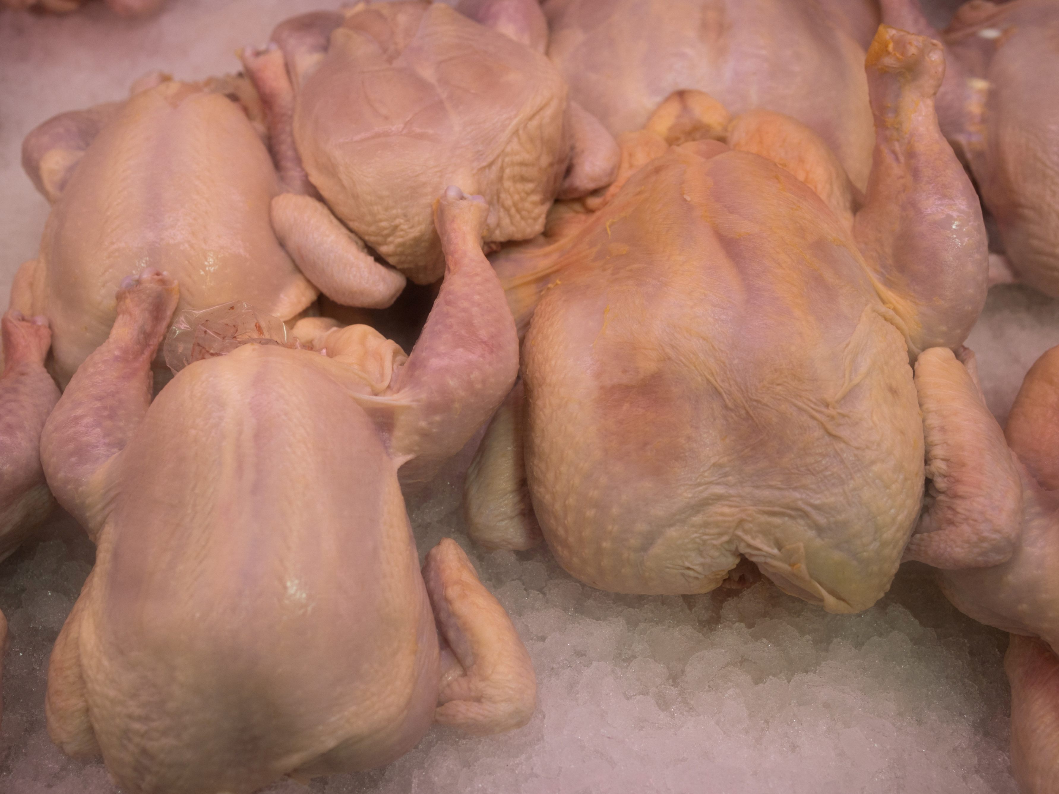 134 Salmonellenfälle in der EU stehen im Zusammenhang mit importiertem Hühnerfleisch.