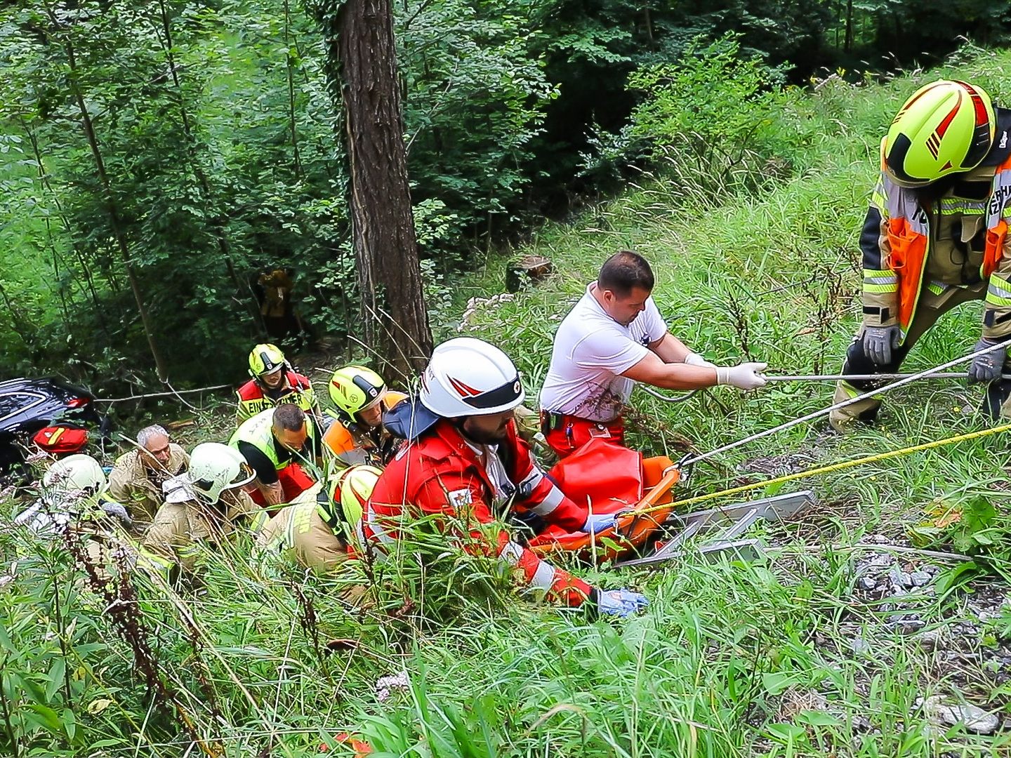 Aufwendige Rettungsaktion Aufwendige Rettungsaktion