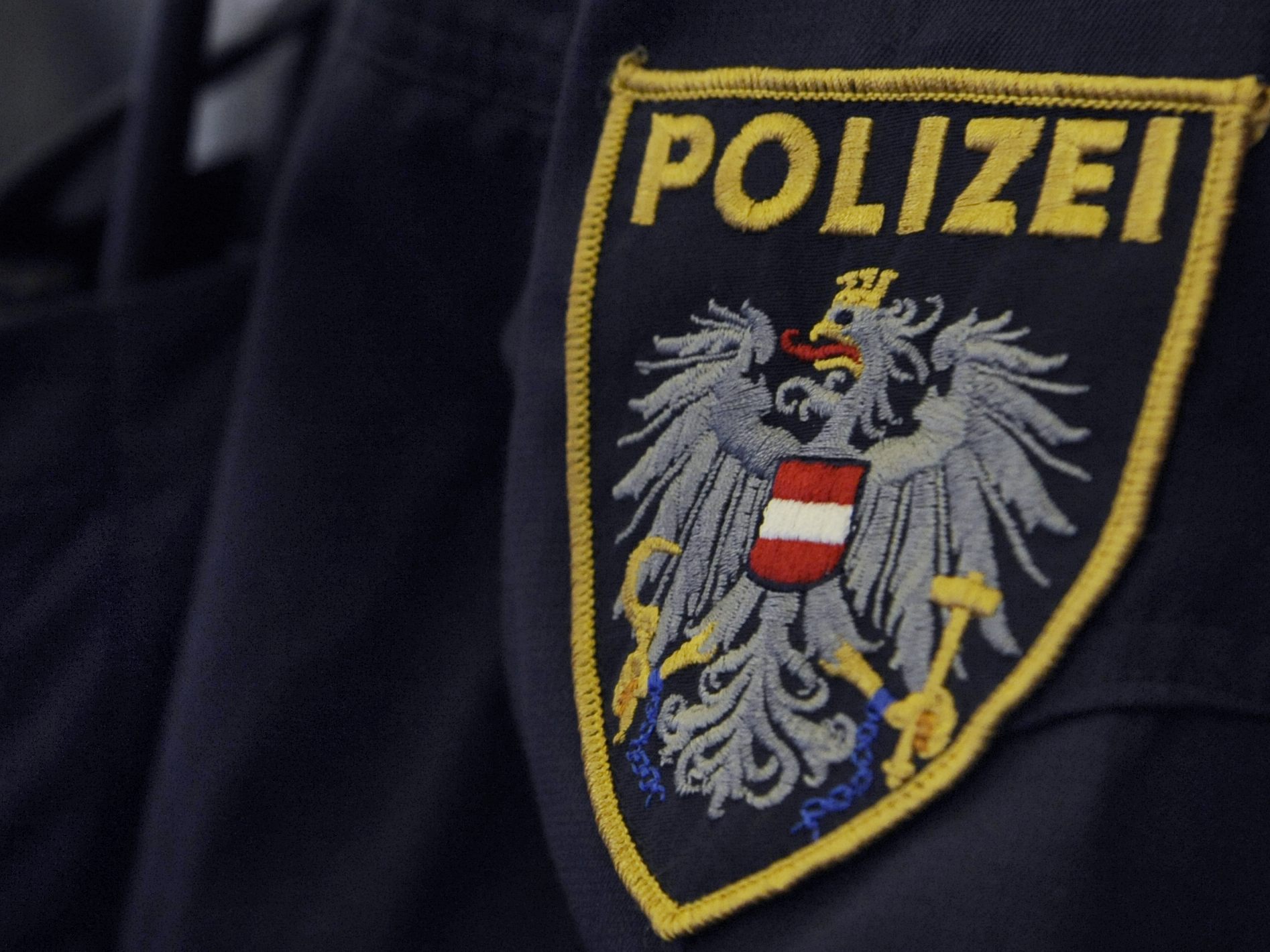 Die Wiener Polizei verhaftete einen mutmaßlichen Dieb.