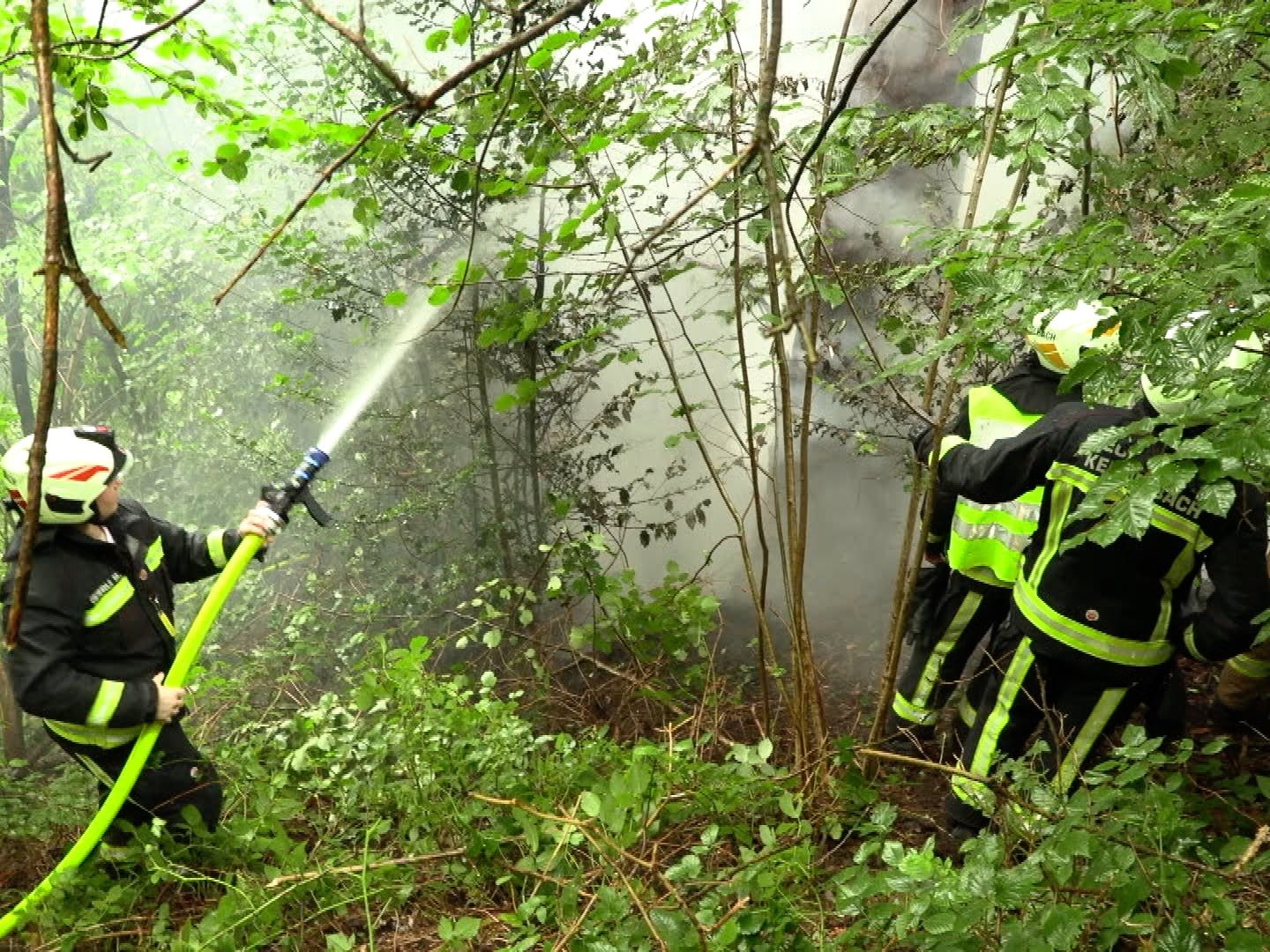 Auch im Unterholz kam es zum Brand.