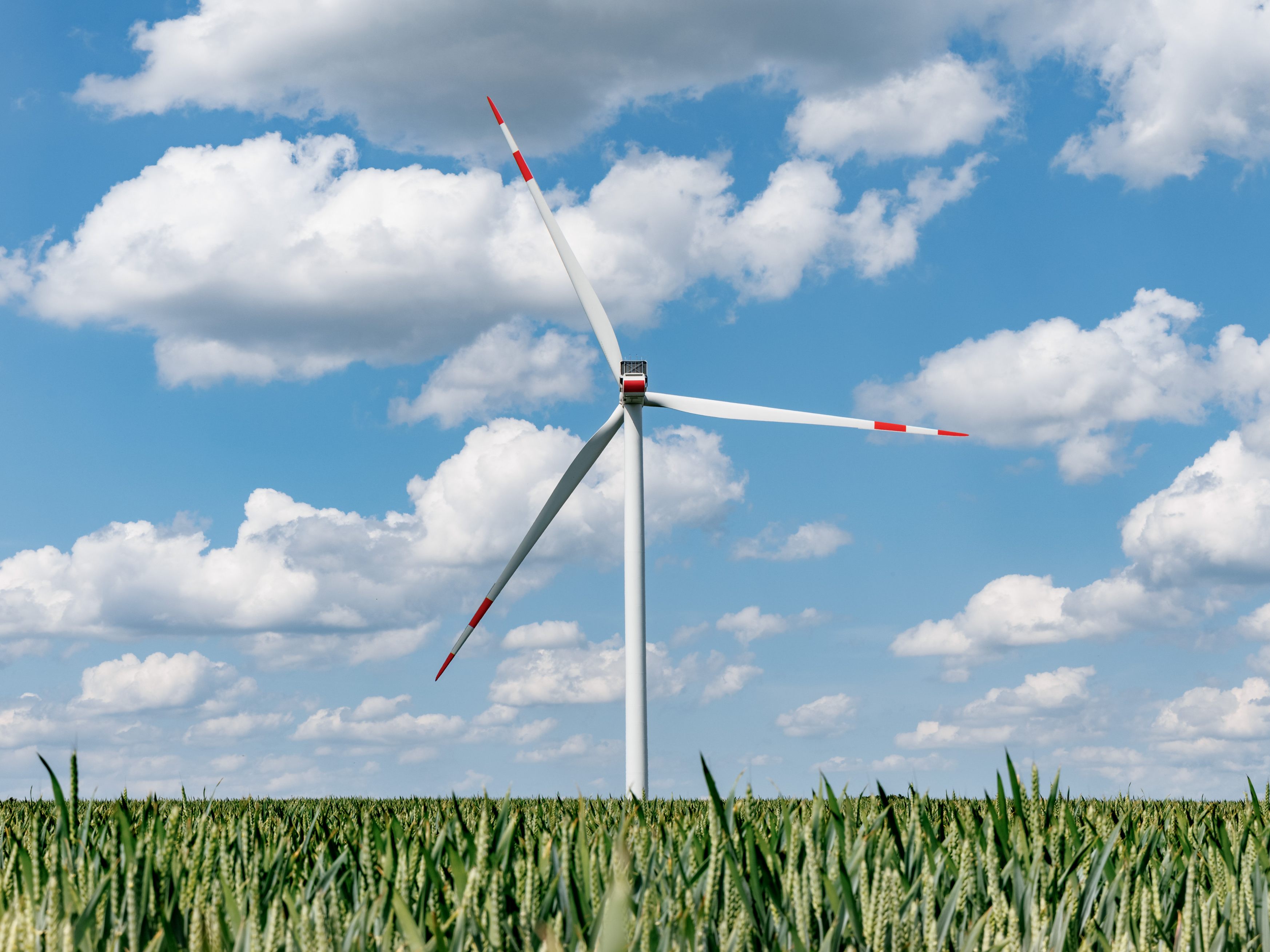 Die IG-Windkraft fordert eine Erhöhung der Marktprämie für Erneuerbaren Strom.