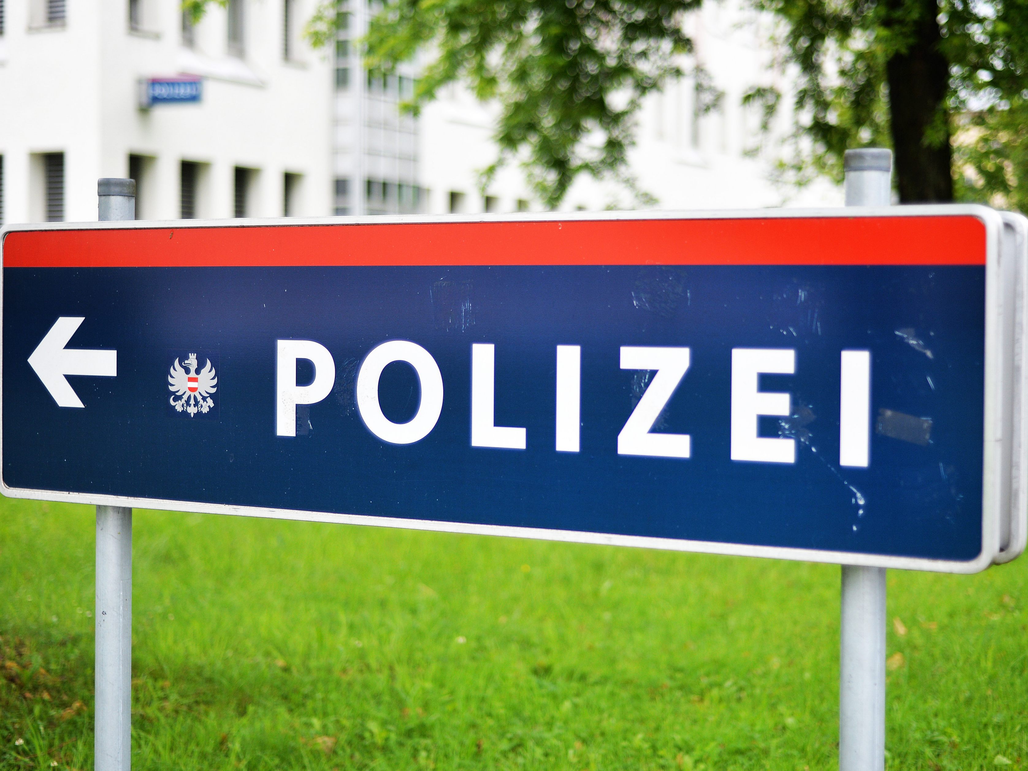 Ein 32-Jähriger starb bei der polizeilichen Einvernahme in Mödling. Ein 32-Jähriger starb bei der polizeilichen Einvernahme in Mödling.