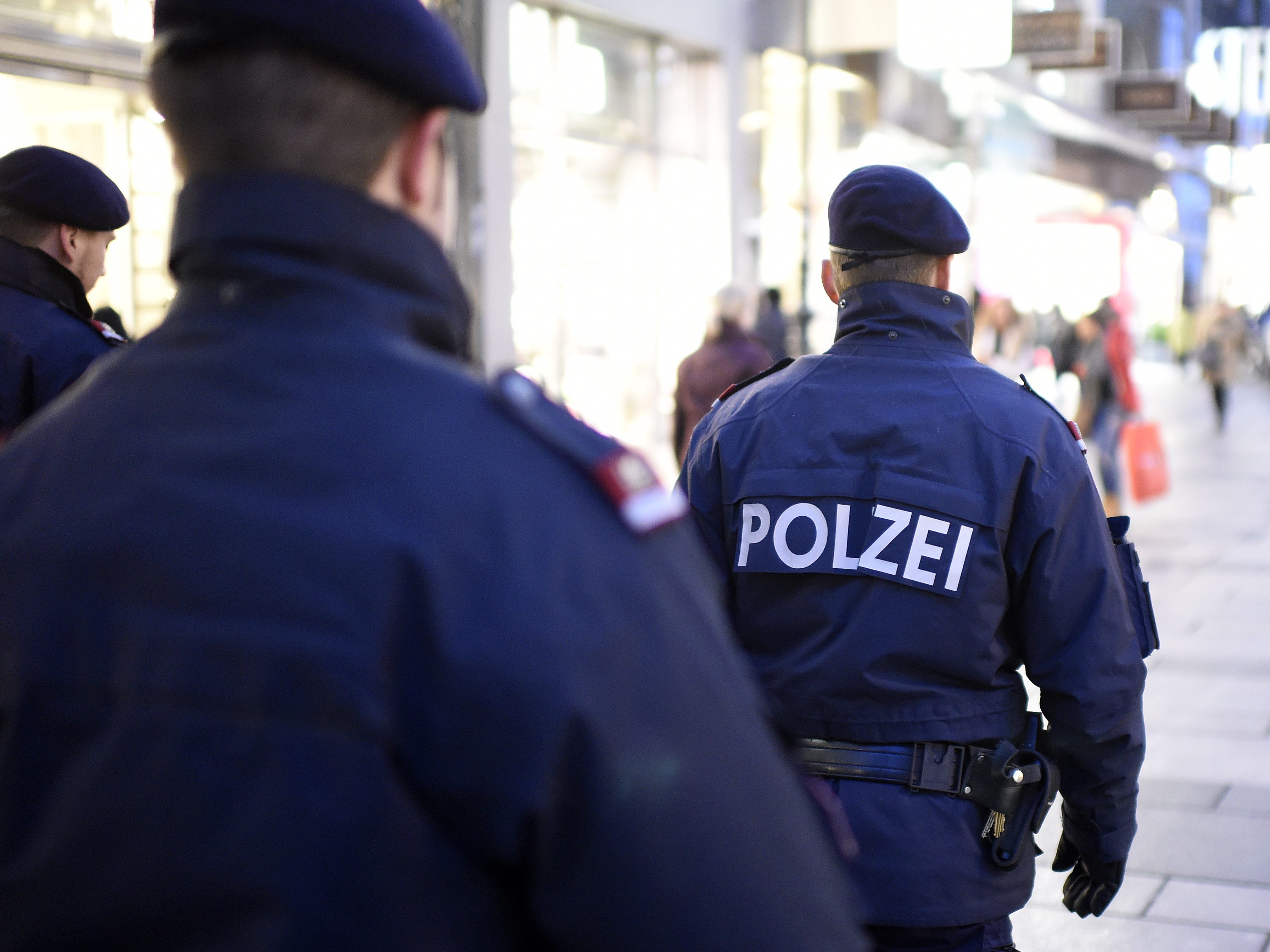 Die Wiener Polizei fasste zwei Drogendealer.