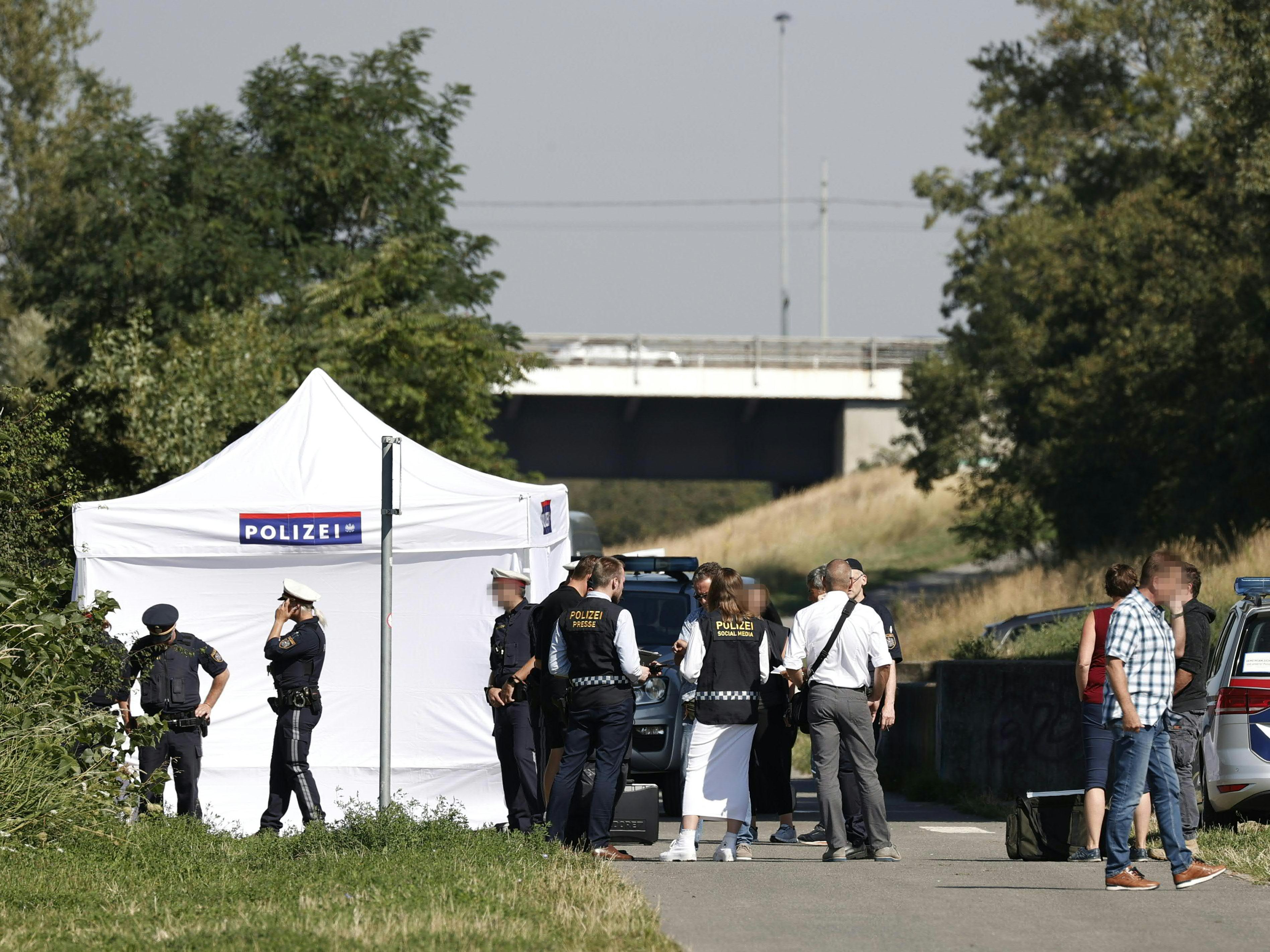 Eine weitere Leiche wurde in der Neuen Donau entdeckt.