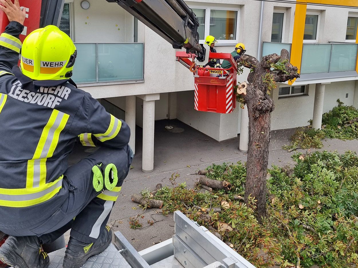In NÖ kam es zu Feuerwehreinsätzen. In NÖ kam es zu Feuerwehreinsätzen.