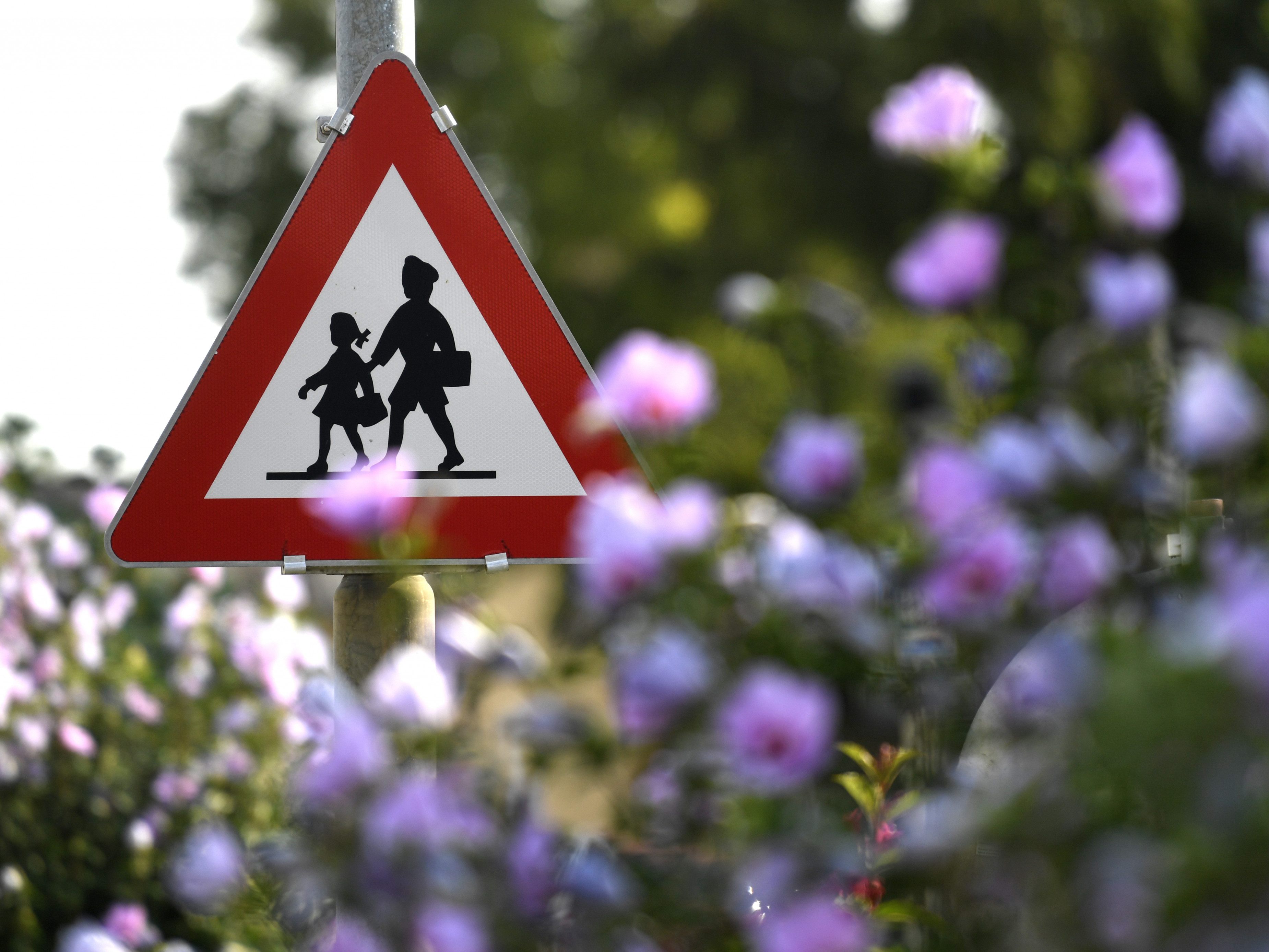 Die AUVA launcht eine neue Plattform für einen sicheren Schulweg.