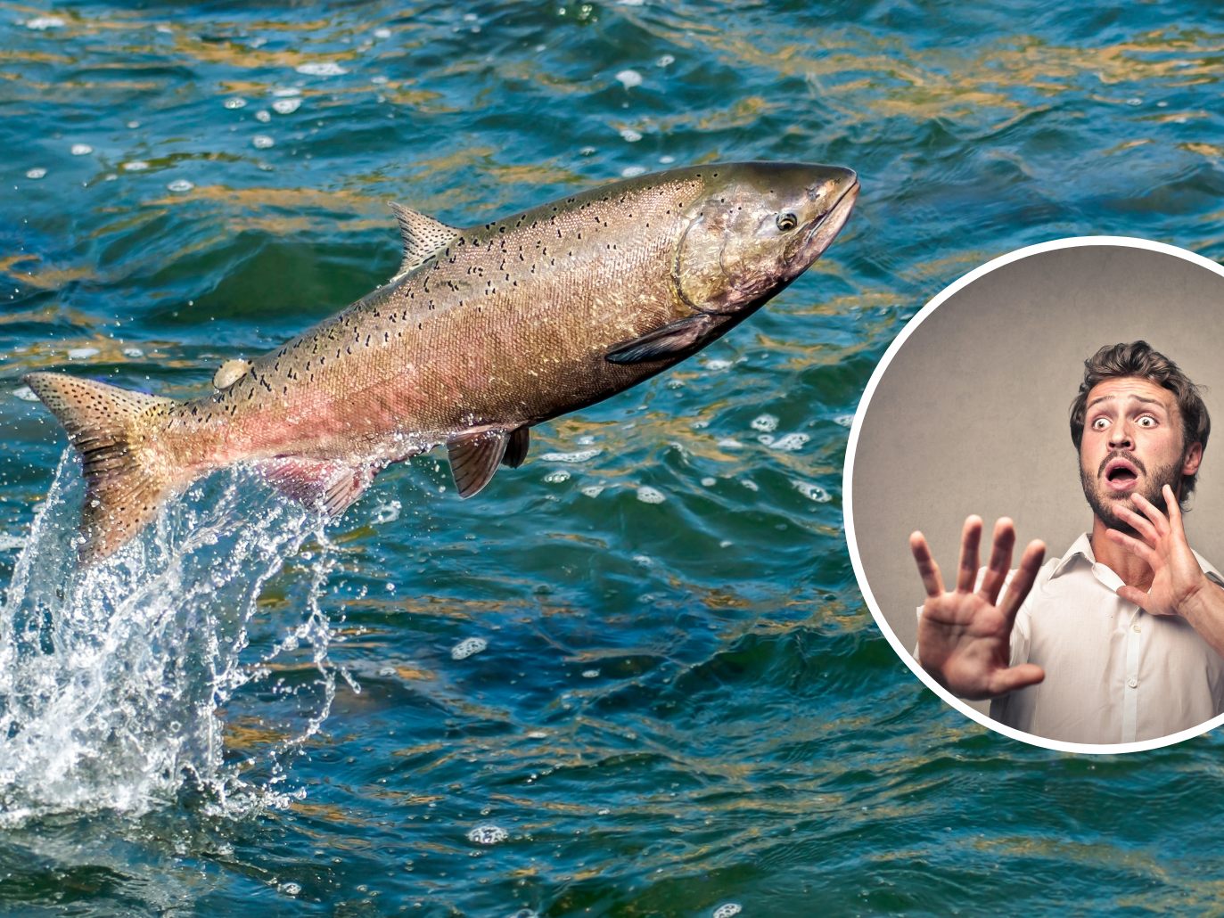 In Schottland wurde ein "Zombie-Fisch" entdeckt".