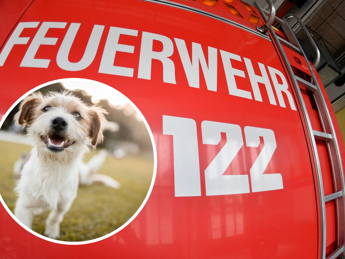 In OÖ rettete die Feuerwehr zwei Hunde aus einem heißen Auto. In OÖ rettete die Feuerwehr zwei Hunde aus einem heißen Auto.