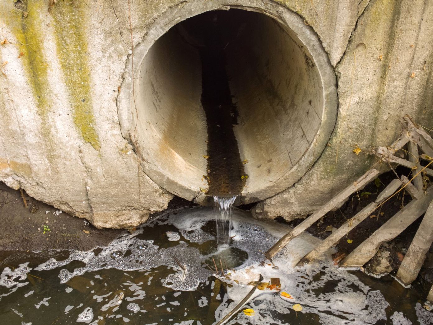 Der Abwasserkanal einer Wohnhausanlage in Wien-Liesing soll fälschlicher Weise an den Regenwasserkanal angeschlossen gewesen sein.