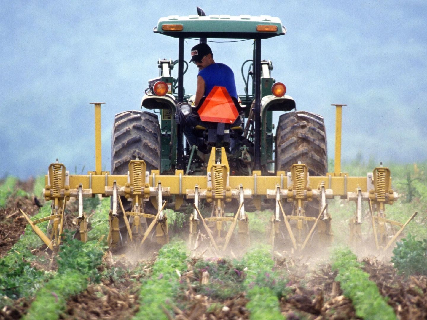 Das Enteignungsverfahren gegen neun Landwirte für den Bau der Ostumfahrung Wiener Neustadt wurde eingeleitet - diese kündigten Widerstand an.