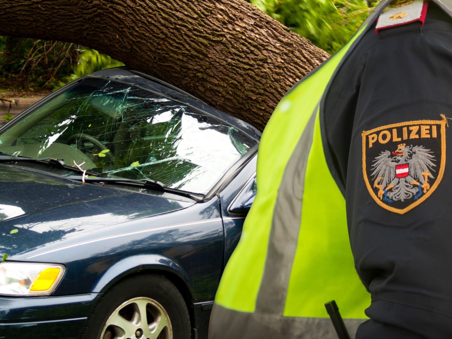 Baum stürzt auf Pkw: Unfall auf L190 in Bludenz. (Symbolbild)
