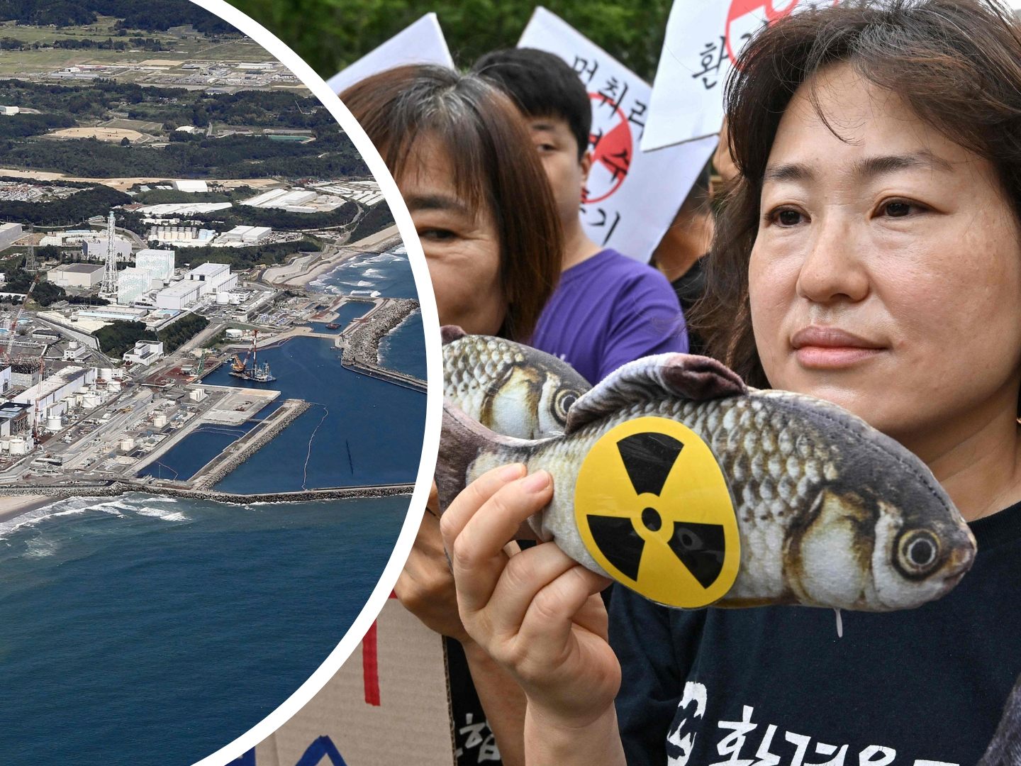 Proteste gegen Fukushima-Entleerung ins Meer. Proteste gegen Fukushima-Entleerung ins Meer.