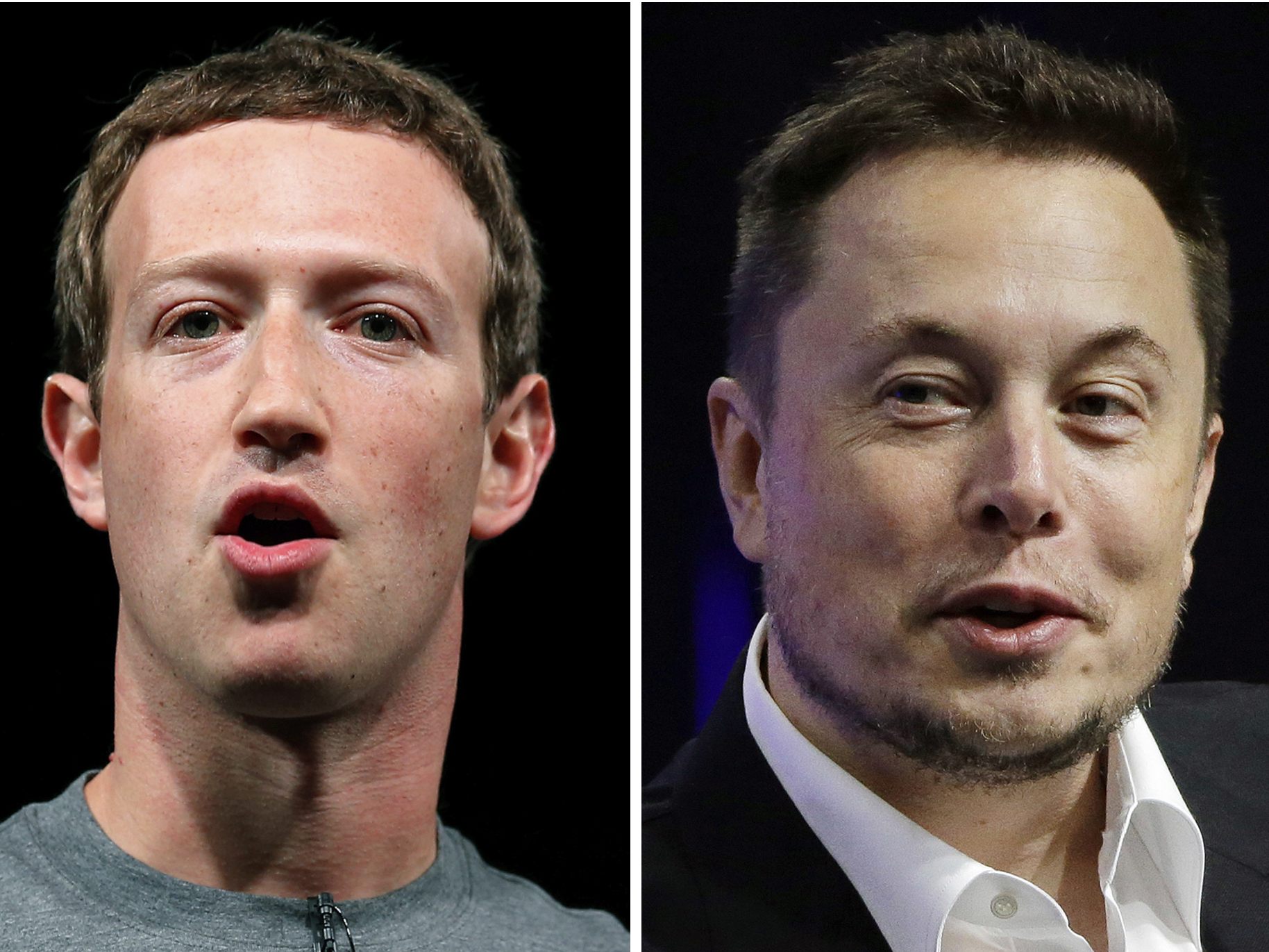 Musk: Zuckerberg ist ein "Feigling."