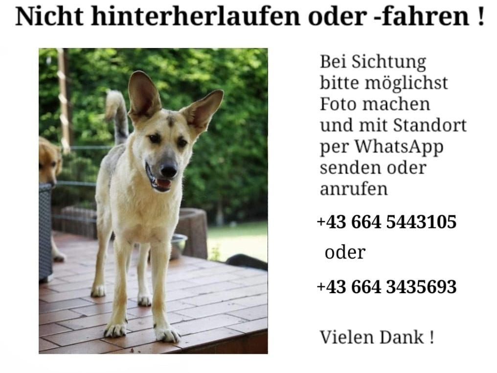 Sichtungen melden