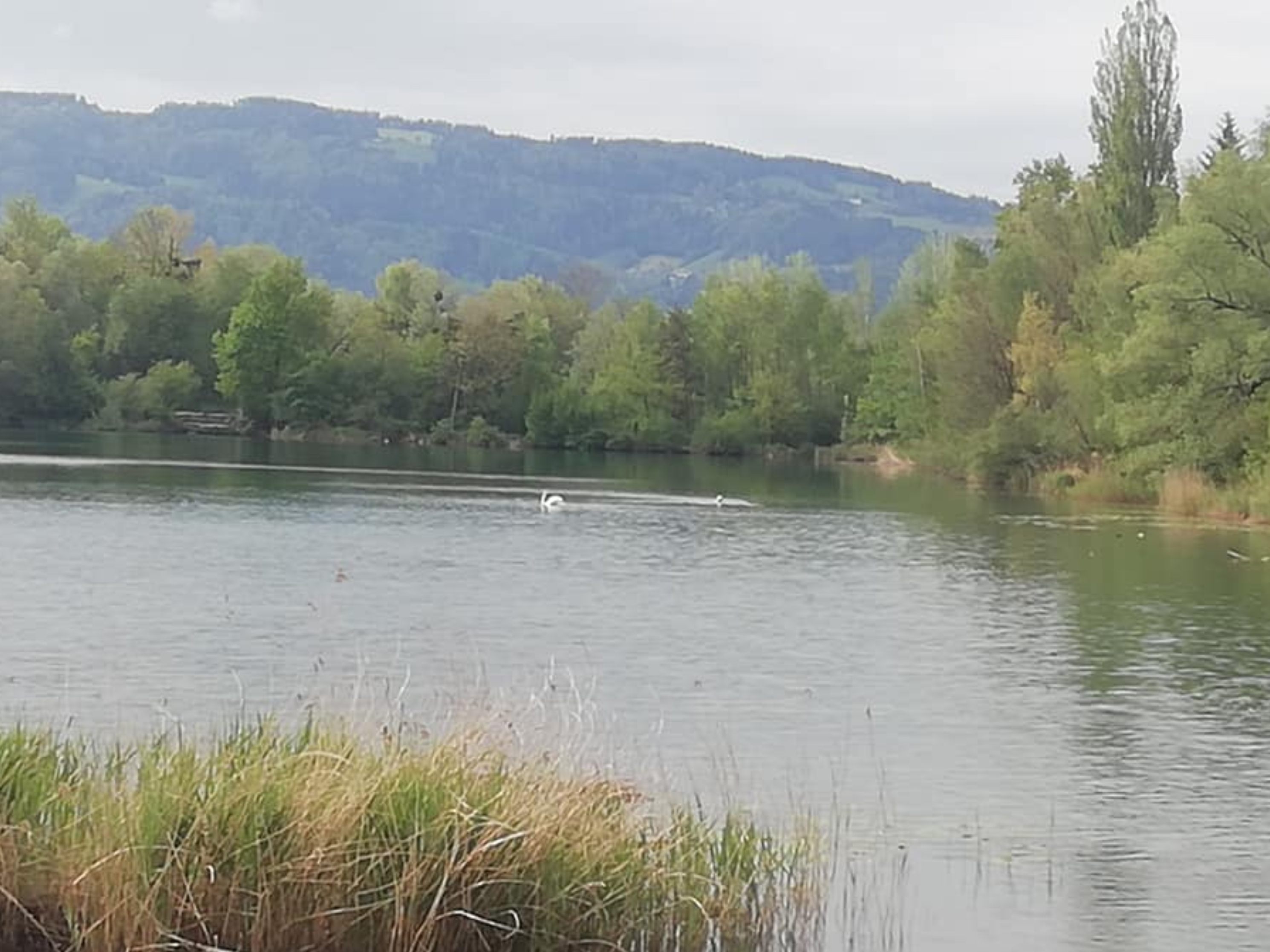 Rund um den Rhein findet noch bis Ende Oktober eine Rätselrallye statt Rund um den Rhein findet noch bis Ende Oktober eine Rätselrallye statt
