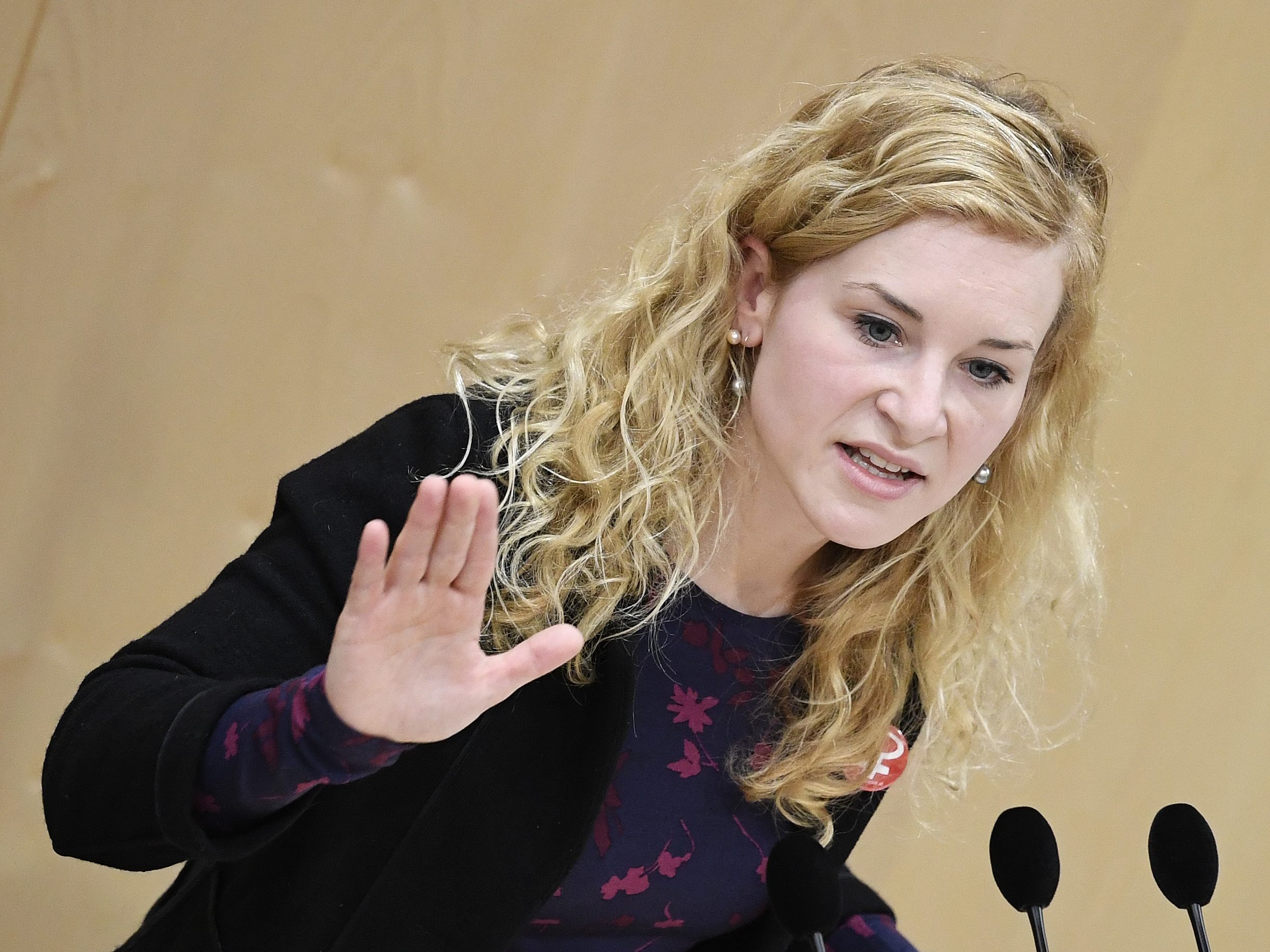 Die SPÖ will eine Kindergrundsicherung. Die SPÖ will eine Kindergrundsicherung.