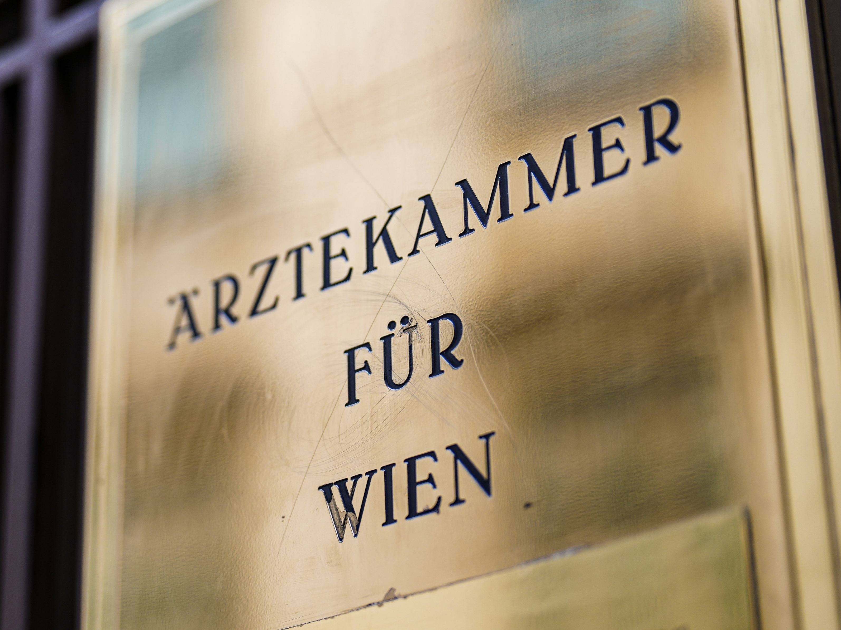 Der Ärztekammerstreit nervt die anderen Länderorganisationen. Der Ärztekammerstreit nervt die anderen Länderorganisationen.