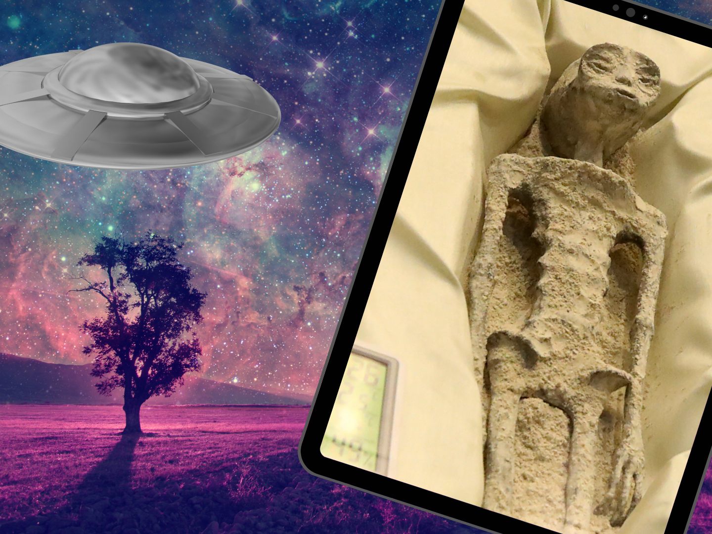 Die Mumien sollen über 1000 Jahre alt sein.