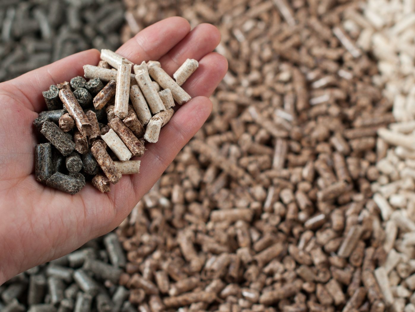 proPellets urgiert das Wärmegesetz. proPellets urgiert das Wärmegesetz.