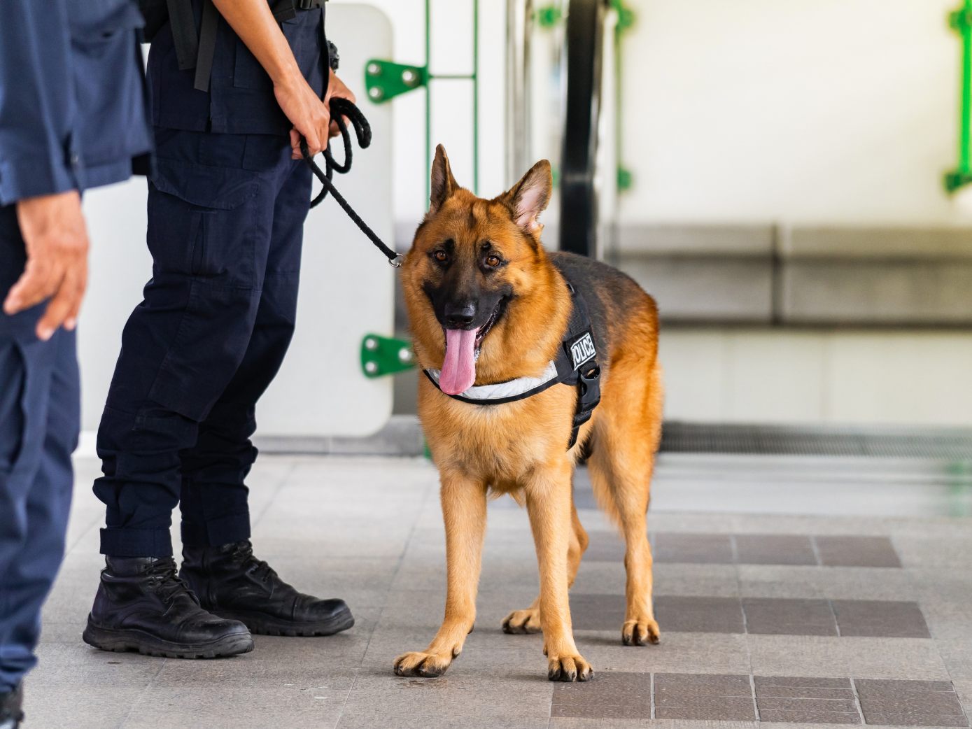 In Wien-Hernals schlug ein Drogenspürhund womöglich auf Dünger an. In Wien-Hernals schlug ein Drogenspürhund womöglich auf Dünger an.